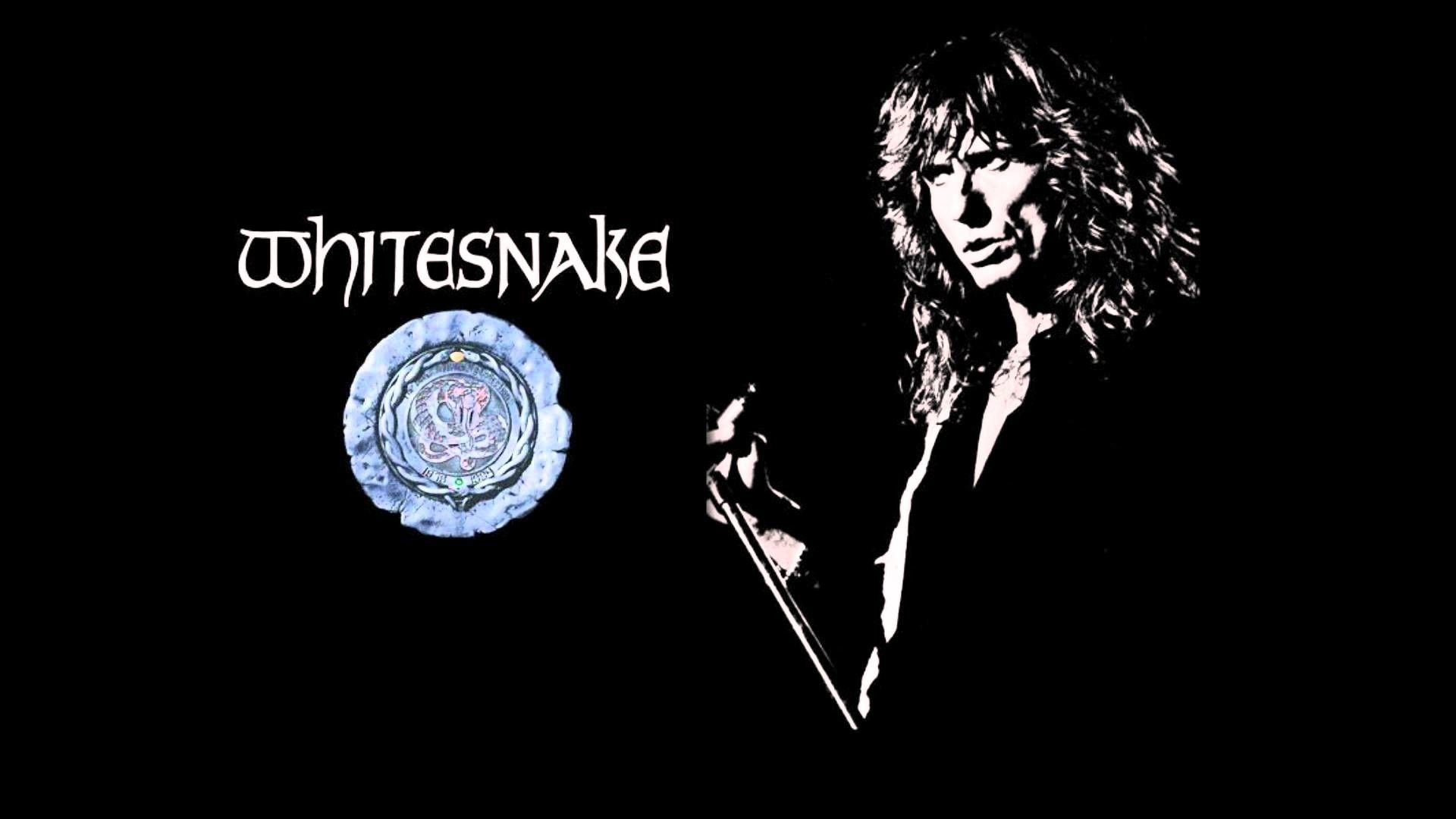 Whitesnake Wallpaper Free Whitesnake Background