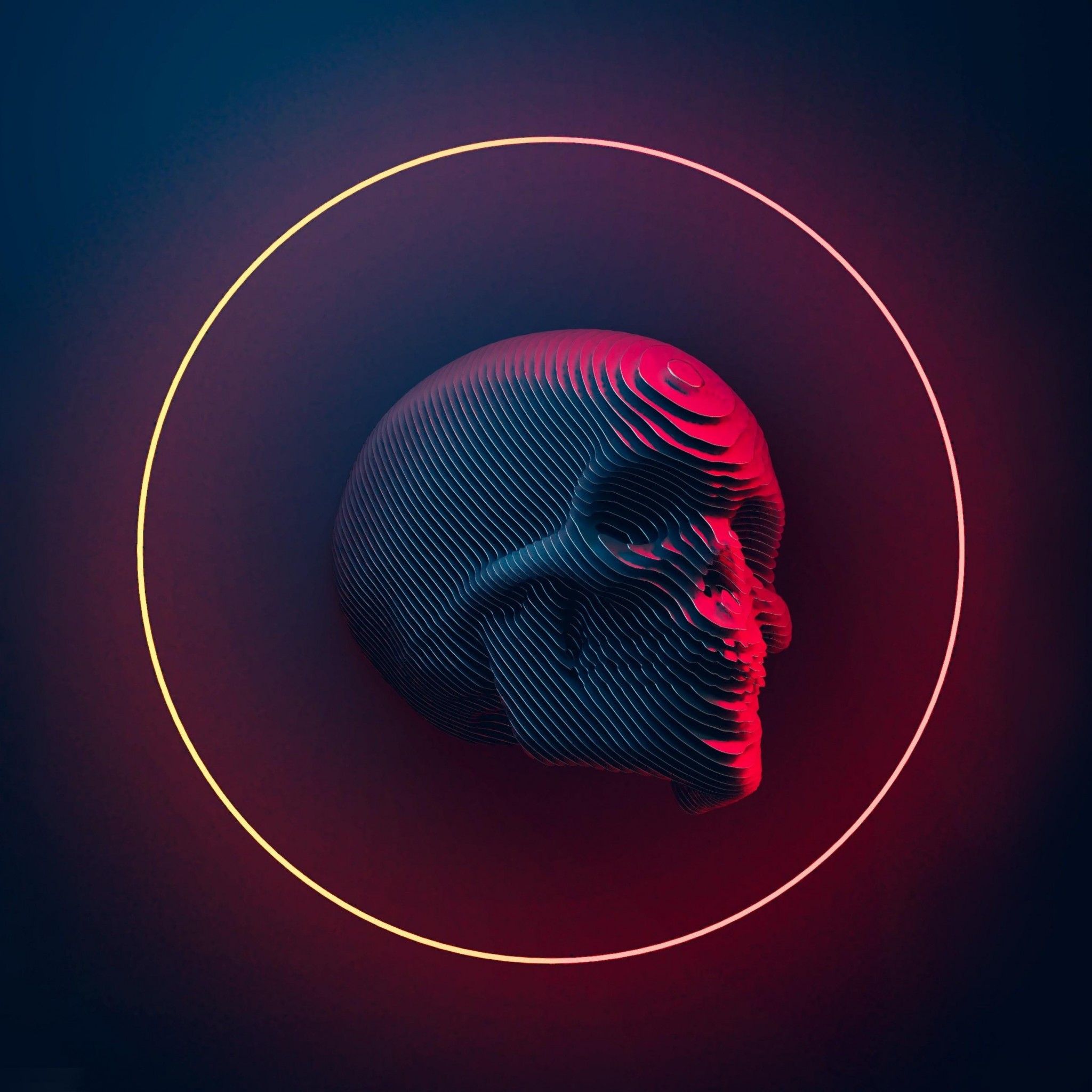 Just Another Skull 4K Wallpaper Retina iPad Hot Desktop and background for your PC and mobile