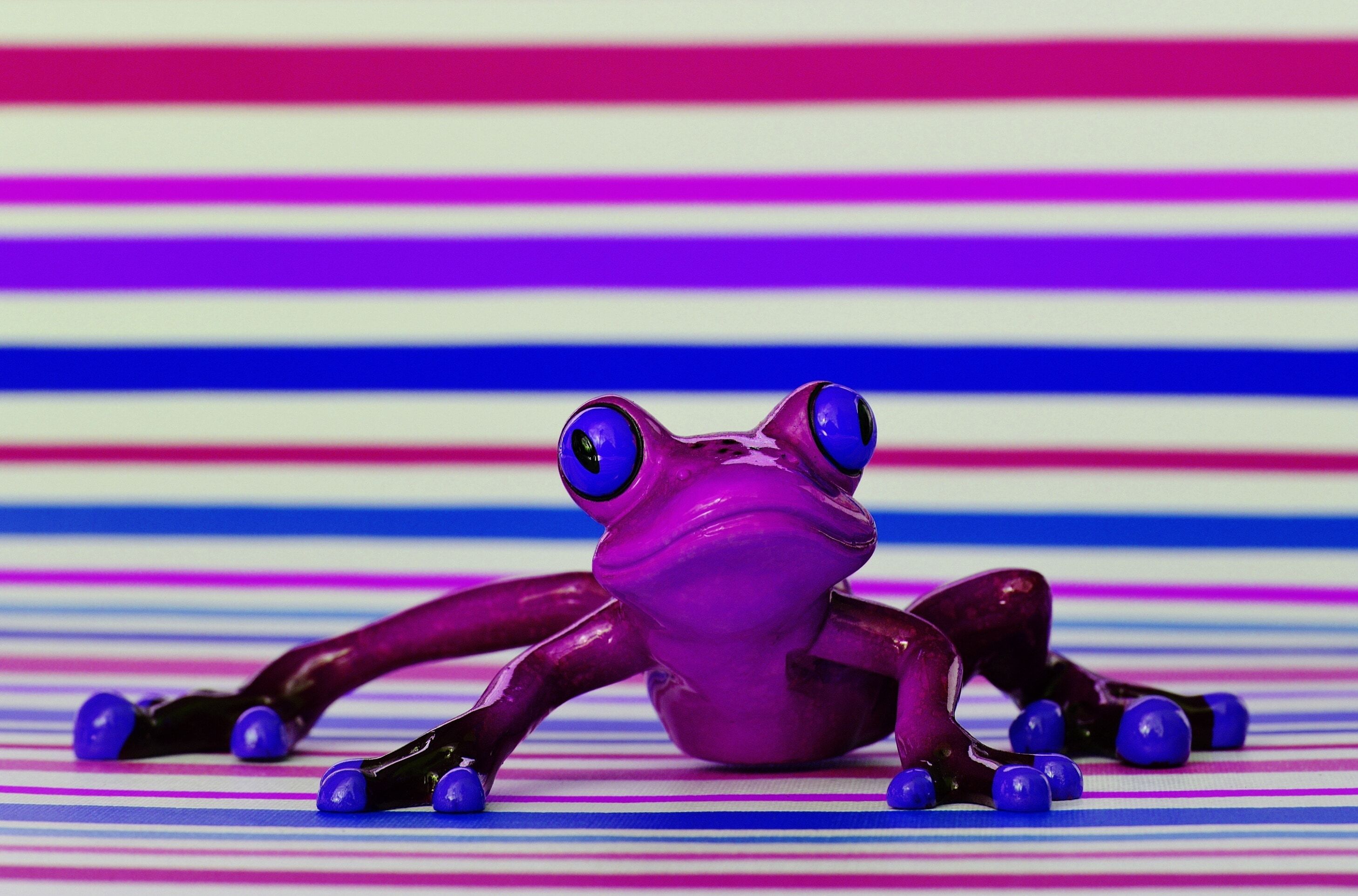 purple frog action figure free image