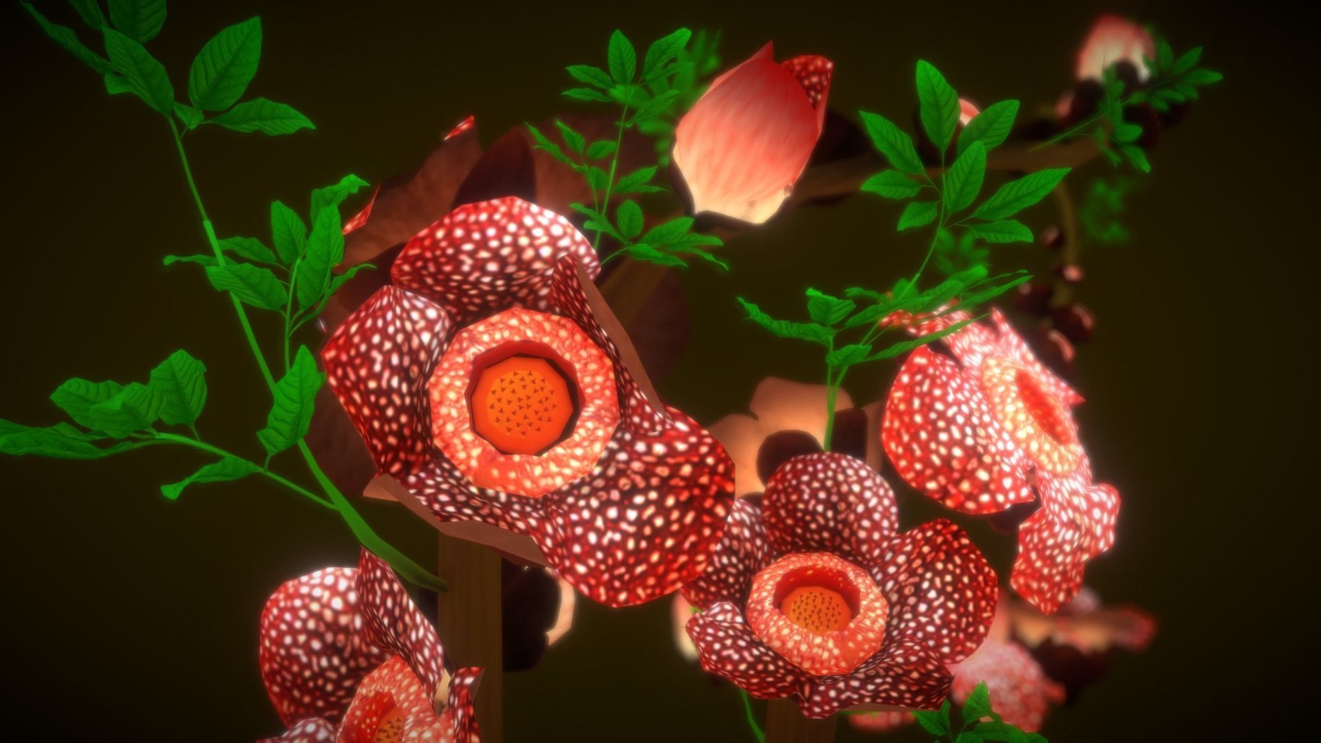 Rafflesia Wallpapers - Wallpaper Cave