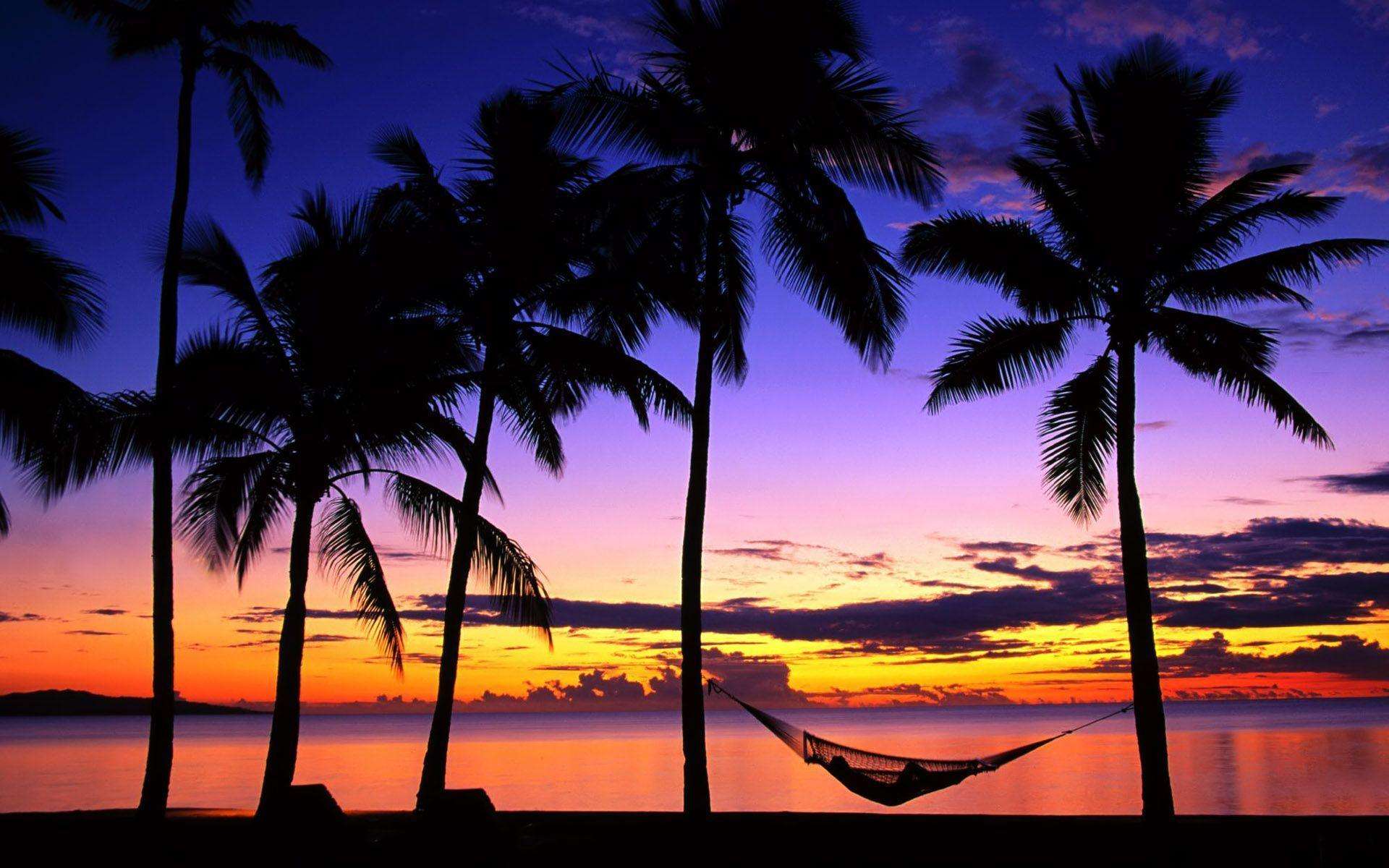Beach Wallpaper Purple Sunrise