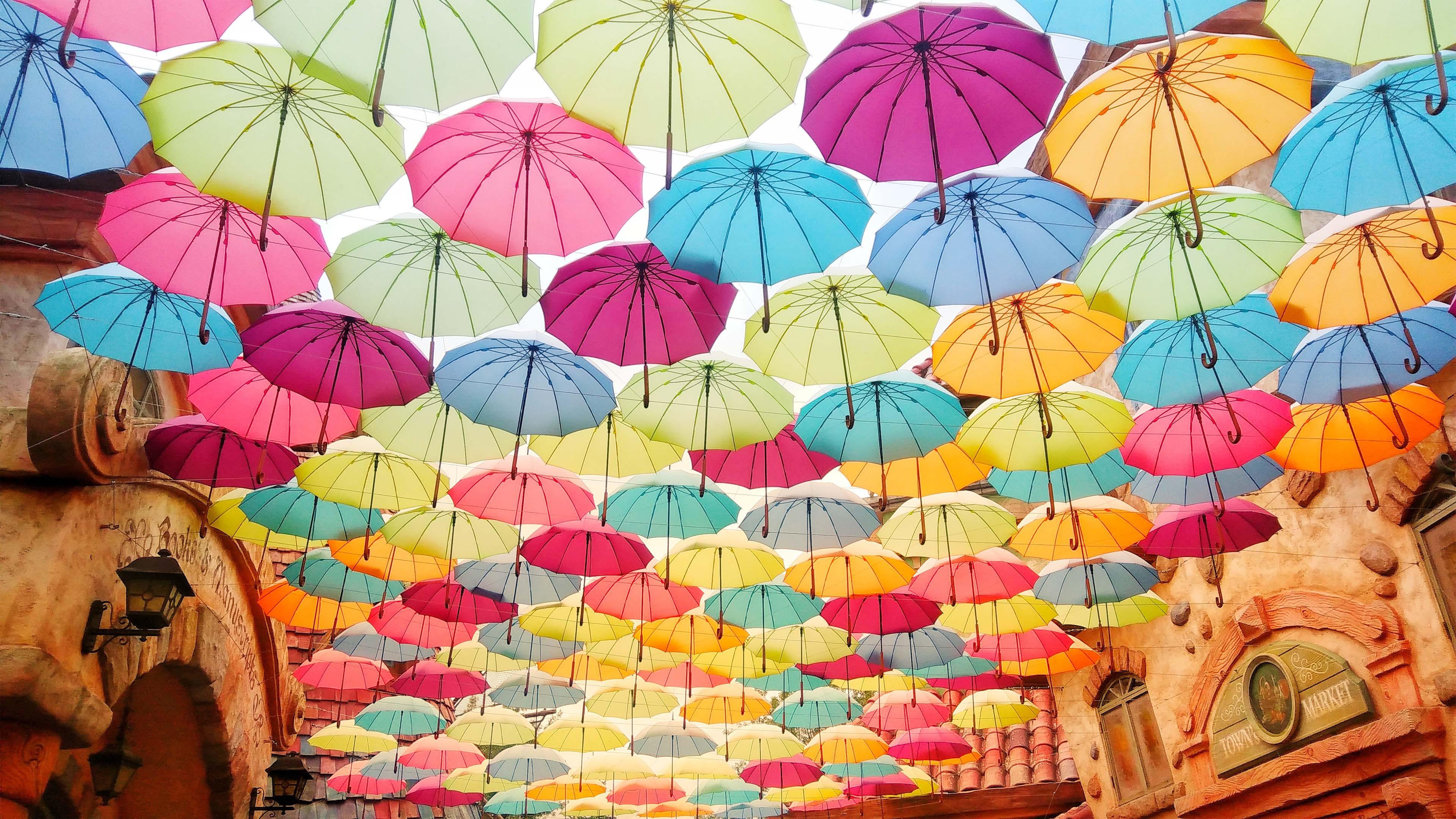 Umbrella 4K wallpaper for your desktop or mobile screen free and easy to download