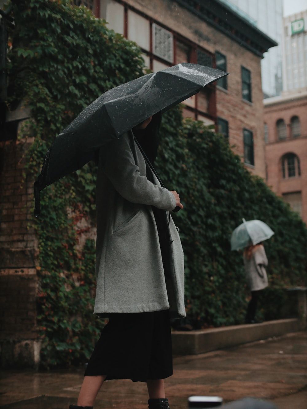 Woman Rain Picture. Download Free Image
