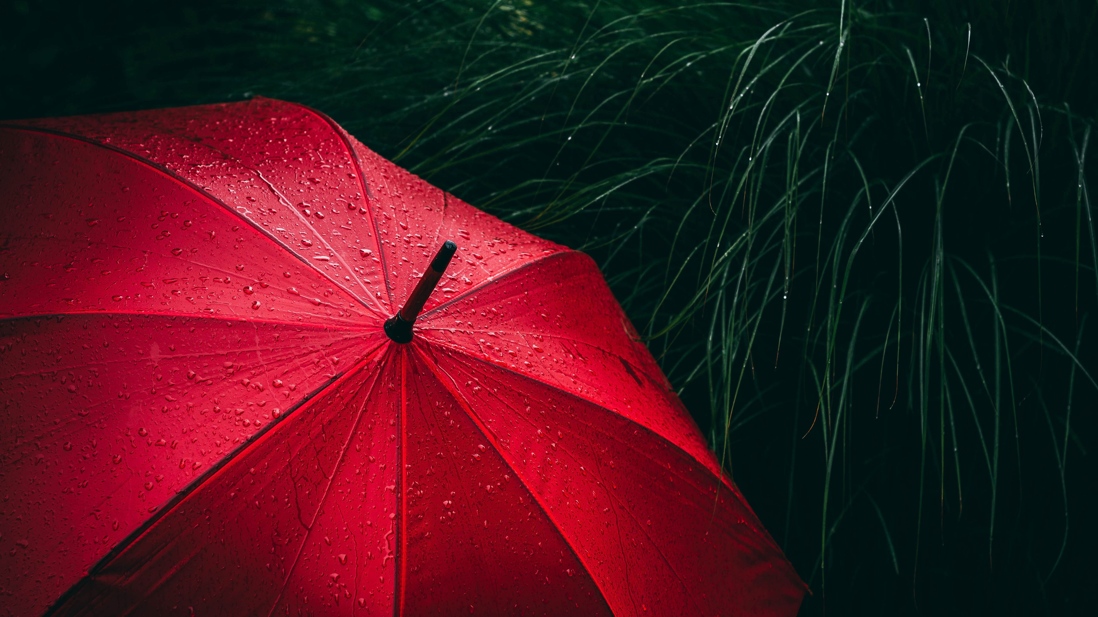 Umbrella, Red, Rain droplets, Rainy day, 4k Free deskk wallpaper, Ultra HD