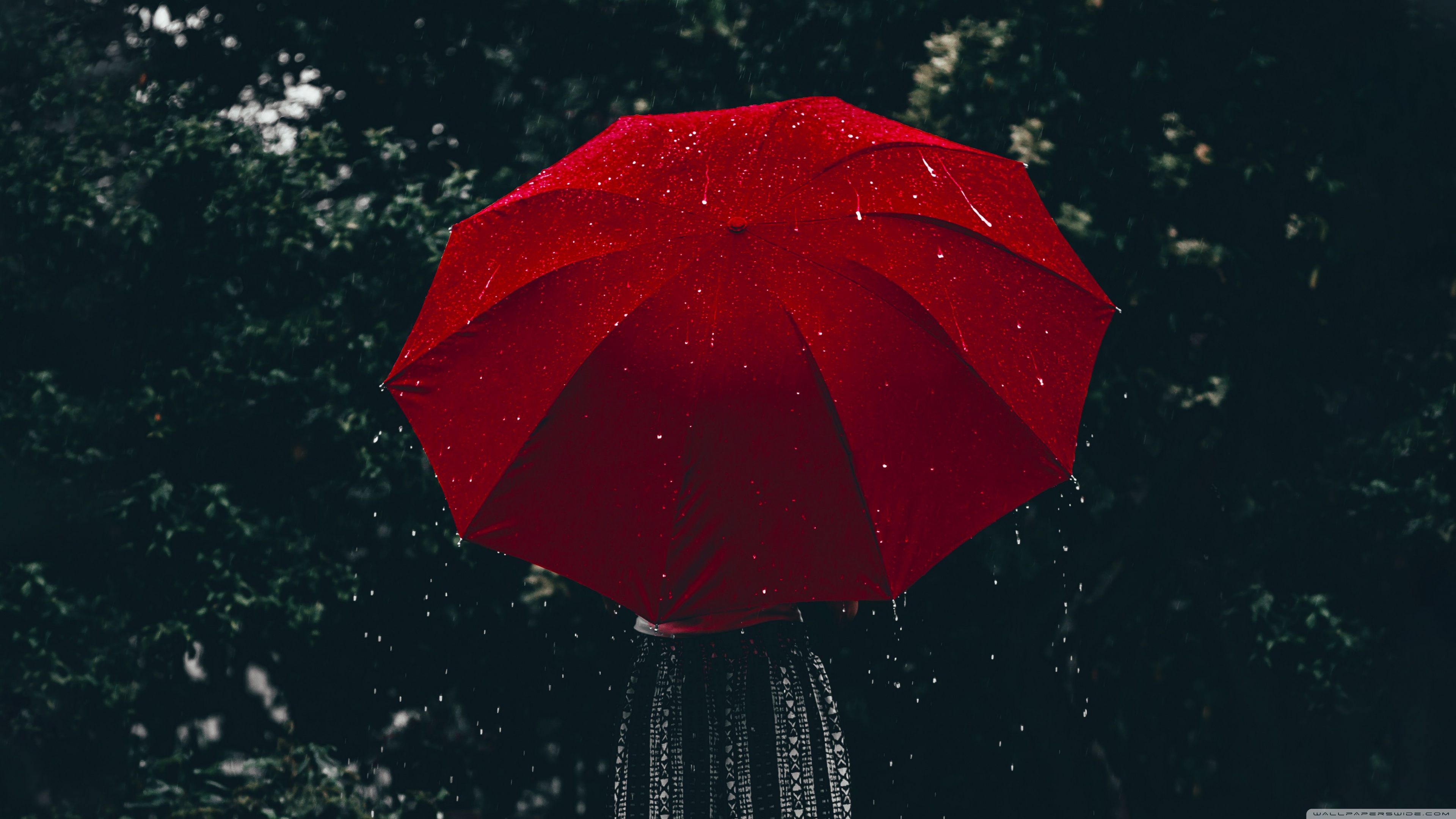 Woman, Red Umbrella, Rain Ultra HD Desktop Background Wallpaper for 4K UHD TV, Tablet