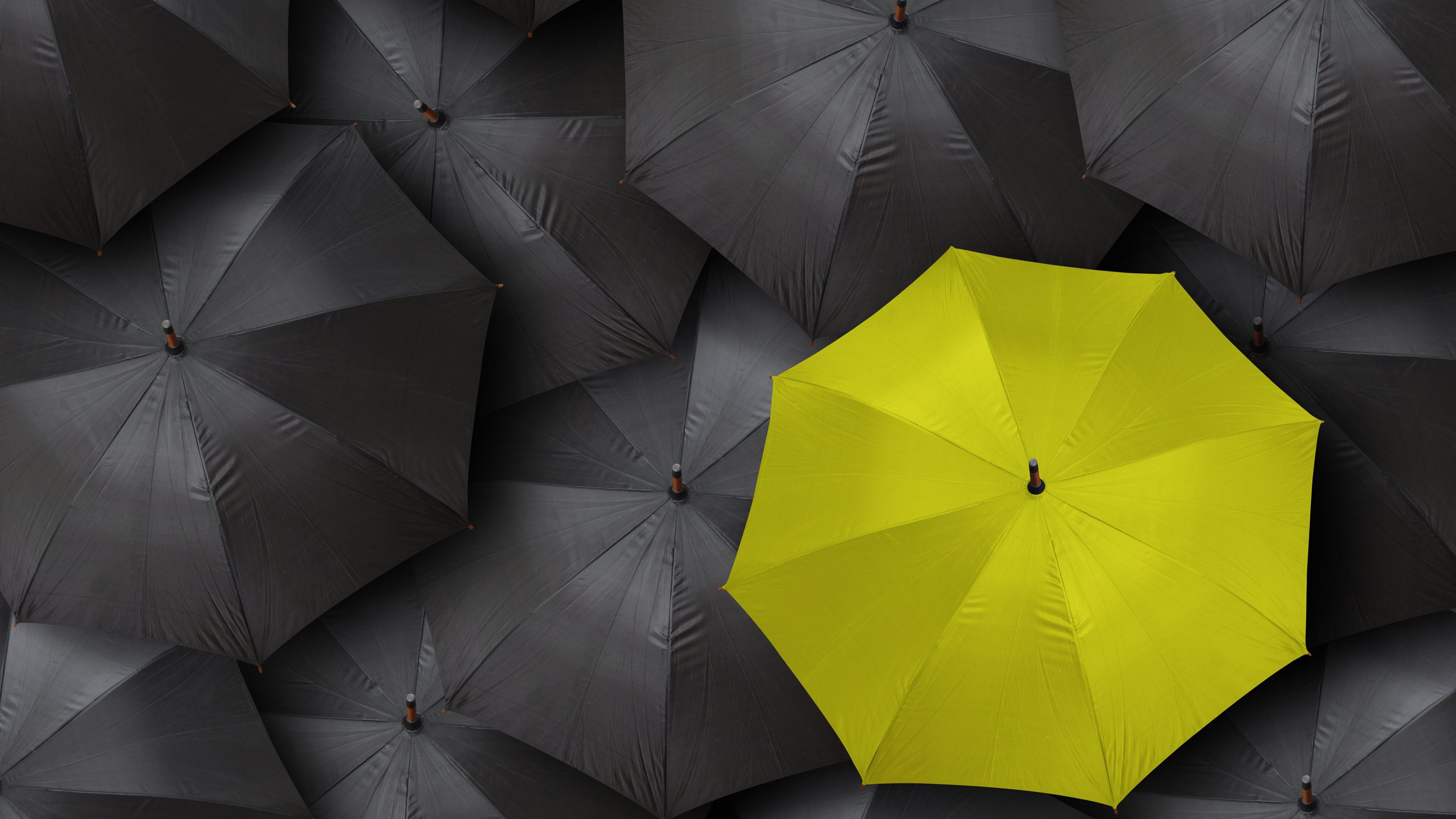 Wallpaper Black umbrella, one yellow 3840x2160 UHD 4K Picture, Image