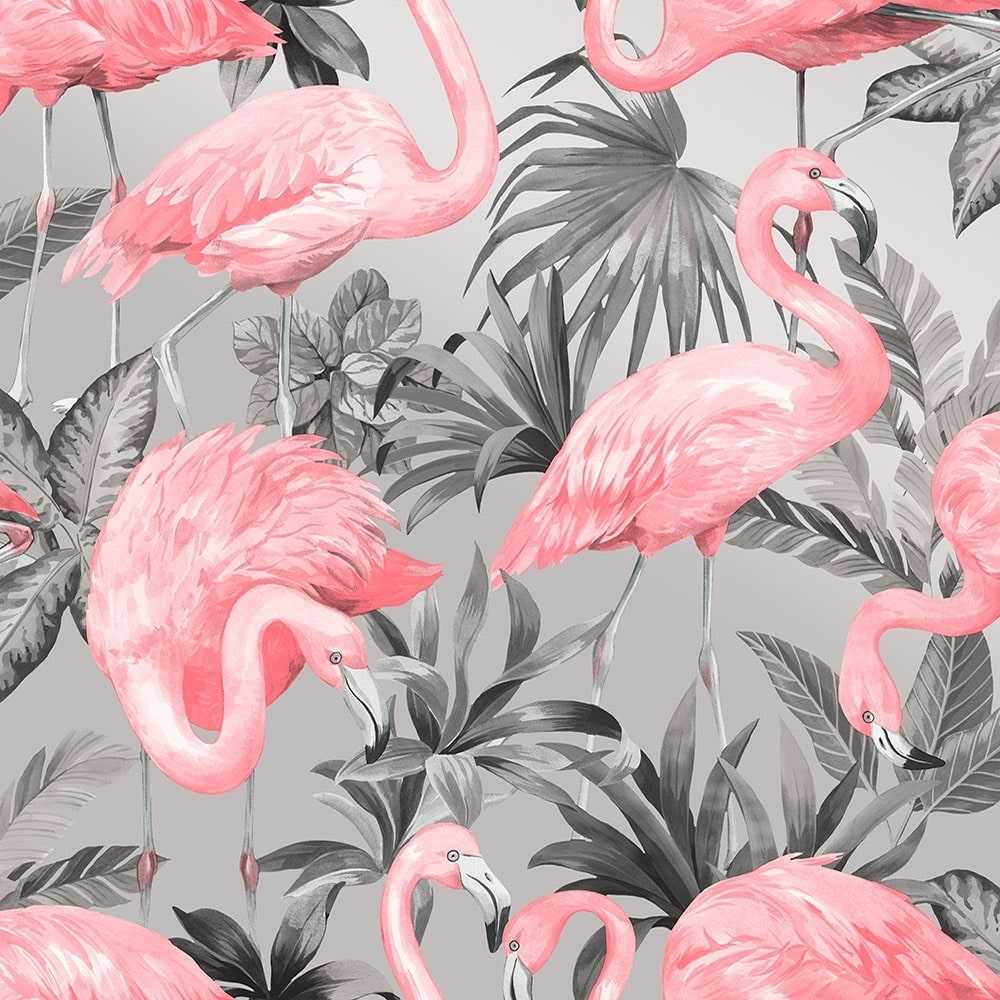 Flamingo Wallpaper