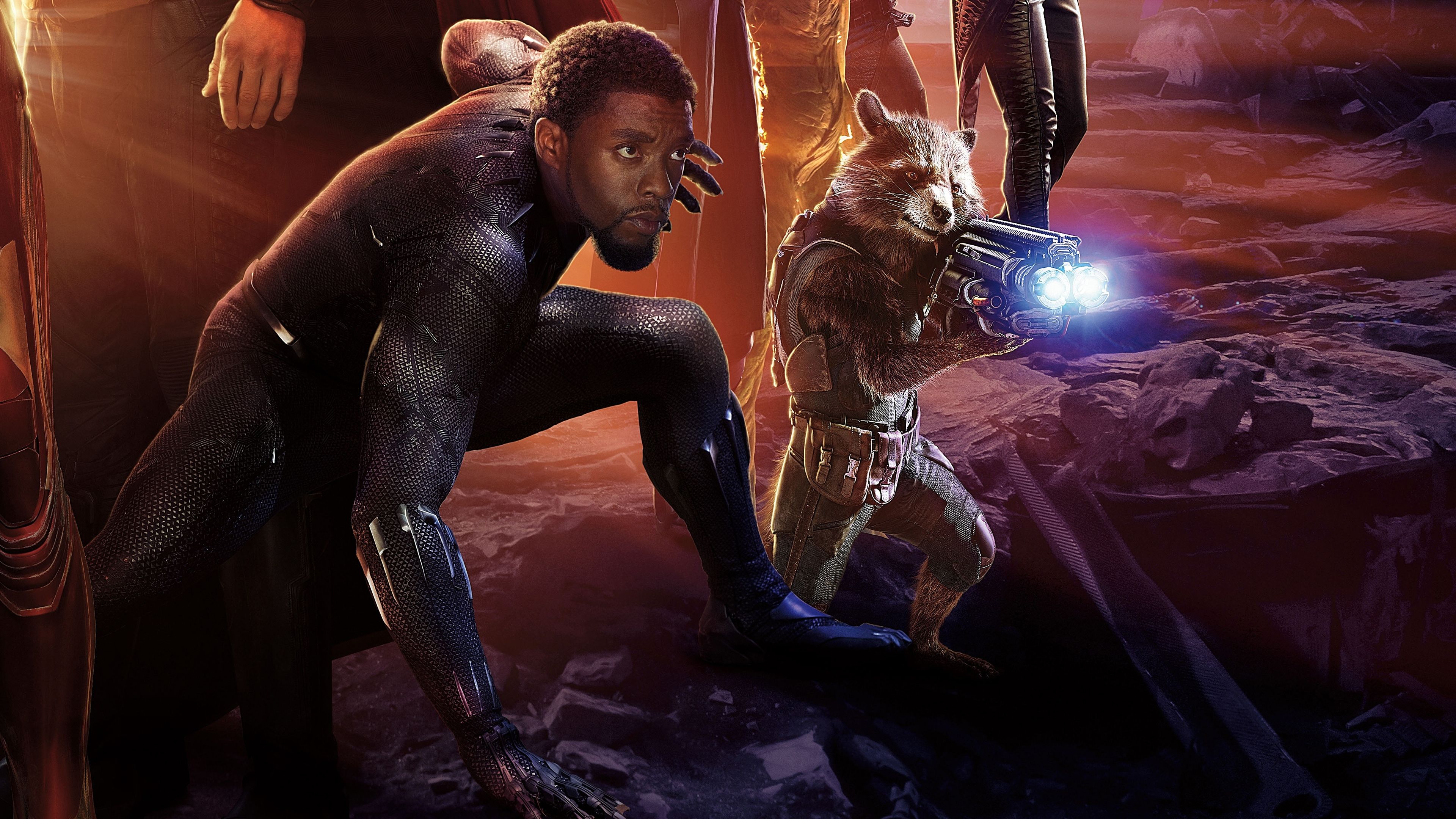Avengers: Infinity War Black Panther and Rocket Raccoon 4K