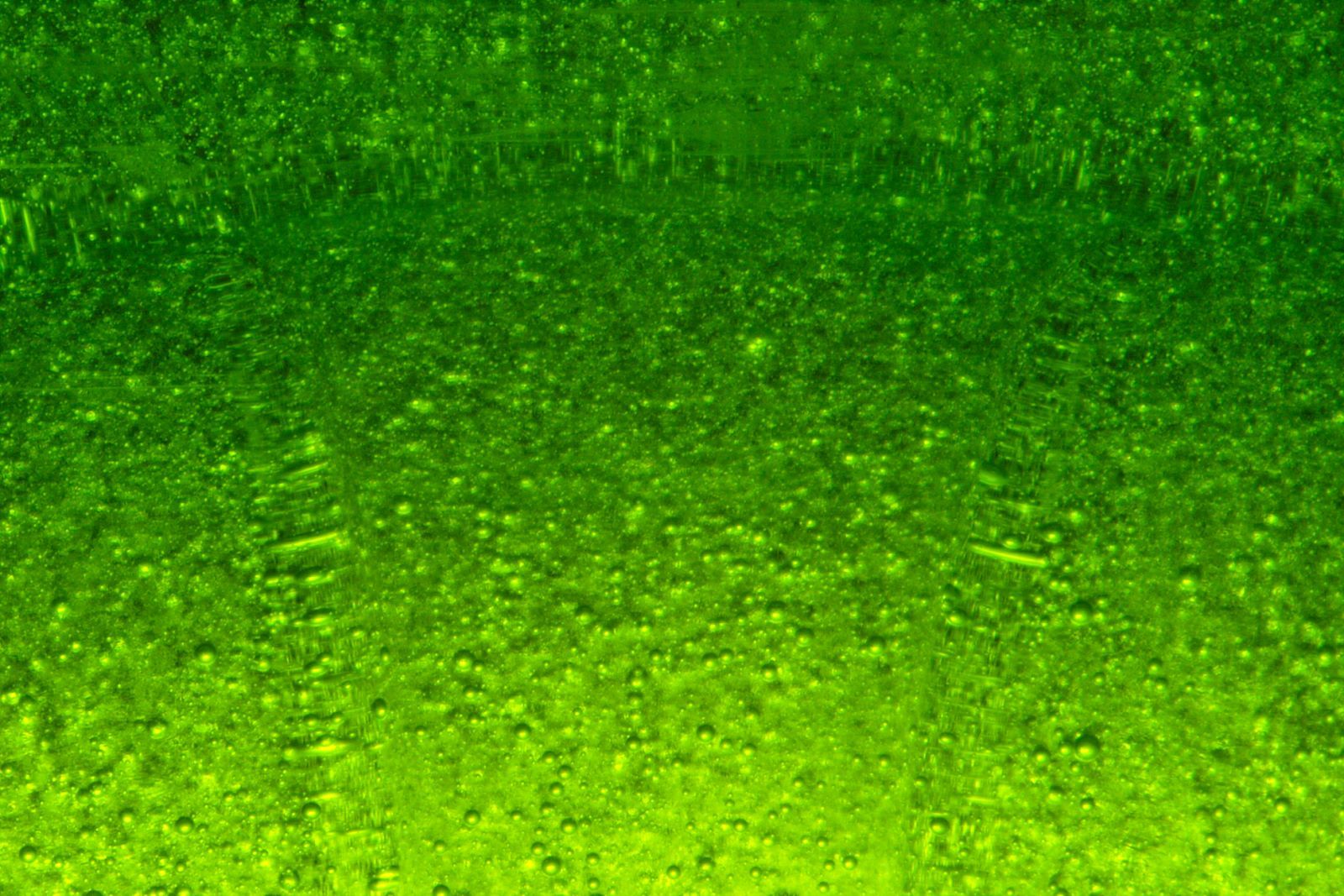 Green Bubbles Wallpaper HD