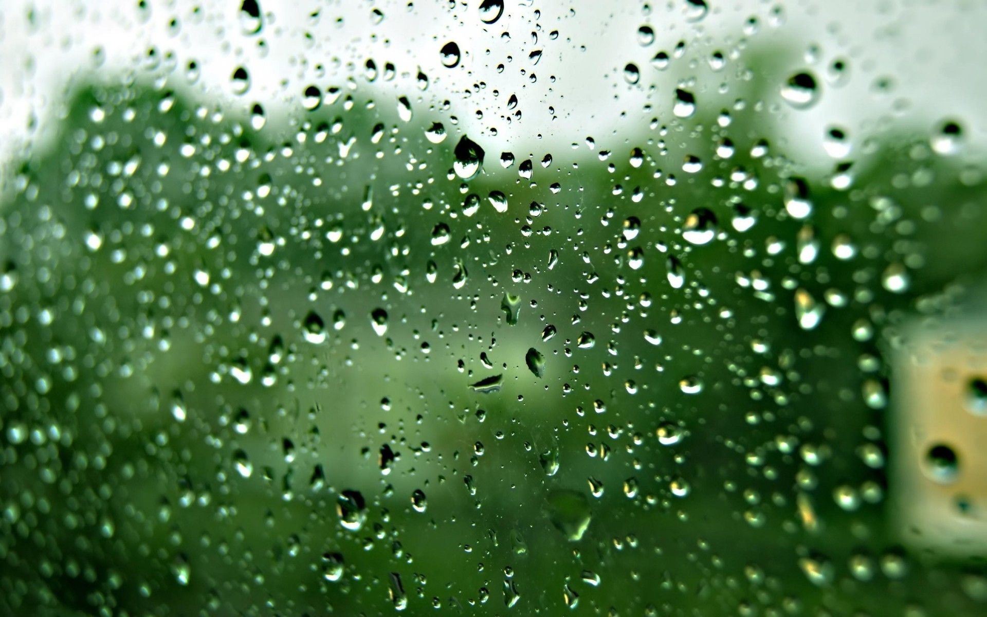 Wallpaper, rain, water drops, green, glass, dew, Freezing, leaf, weather, drop, close up, macro photography, plant stem, moisture 1920x1200