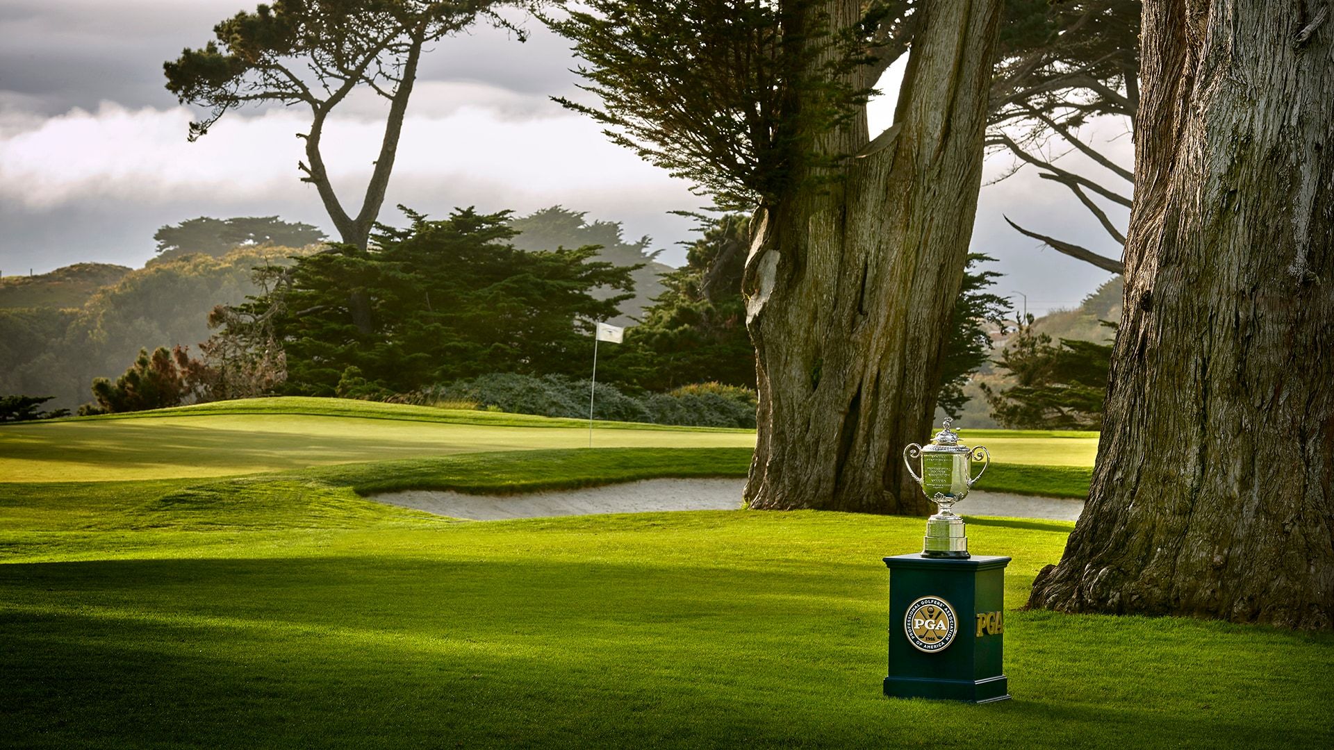 PGA Championship Field Draws 95 of the in the World