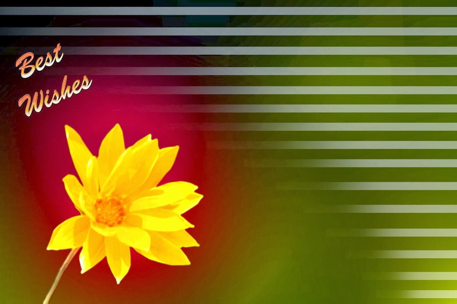 FREE PHOTOSHOP BACKGROUNDS HIGH RESOLUTION WALLPAPERS & TEMPLATES COLLECTION DAILY: Indian Studio. Photohop Background, Background, Free Photohop