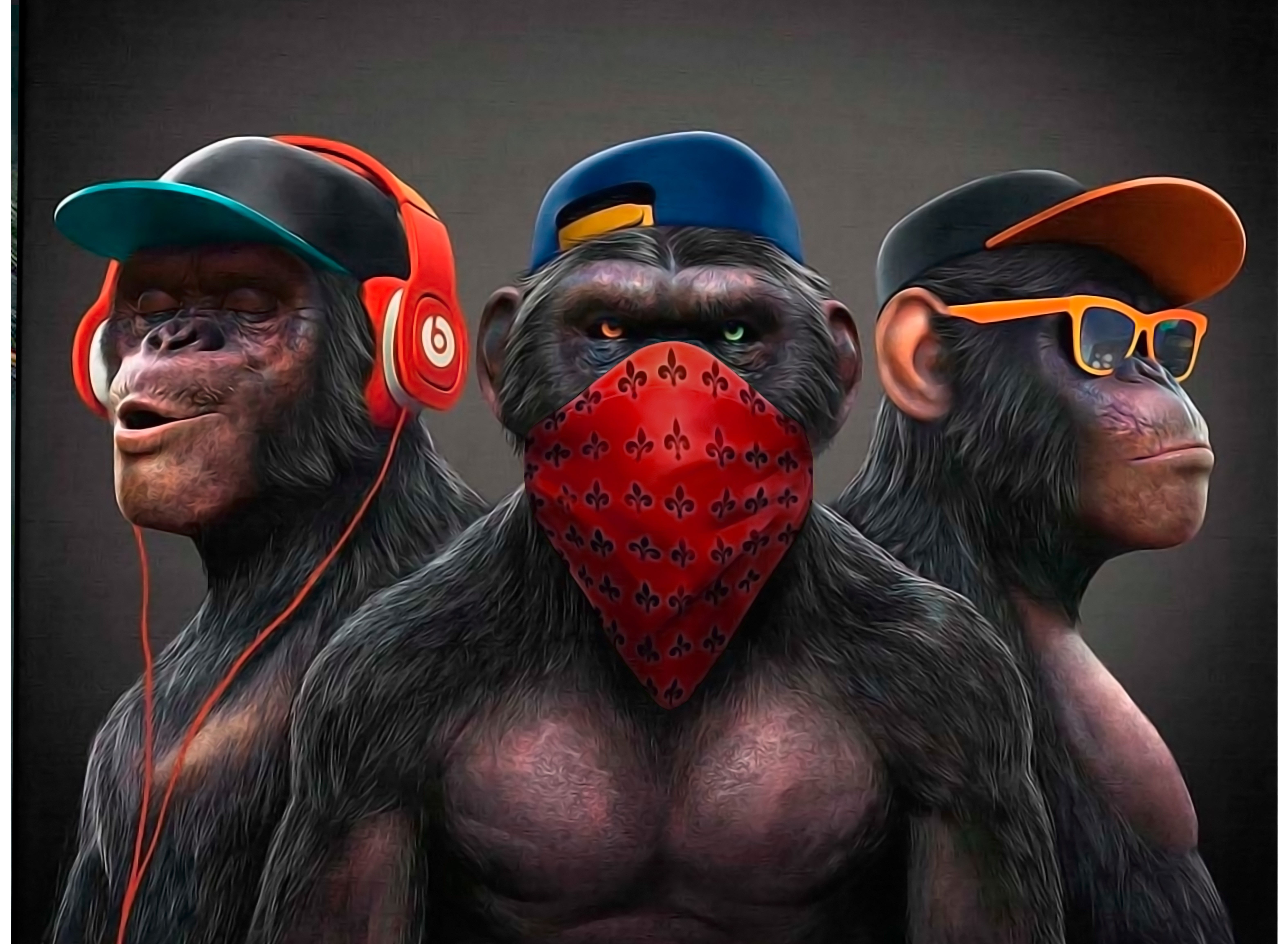 Gang Monkey's. Monkey art, Rasta art, Monkey wallpaper