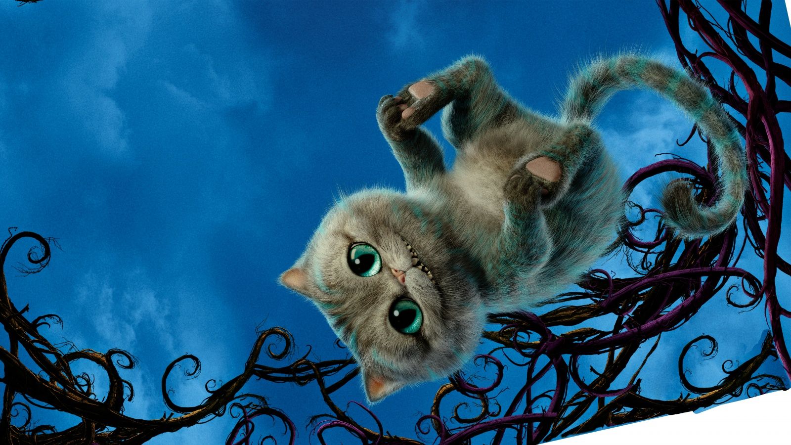 Cheshire Cat Aliceking Glass Wallpaper in jpg format for free download