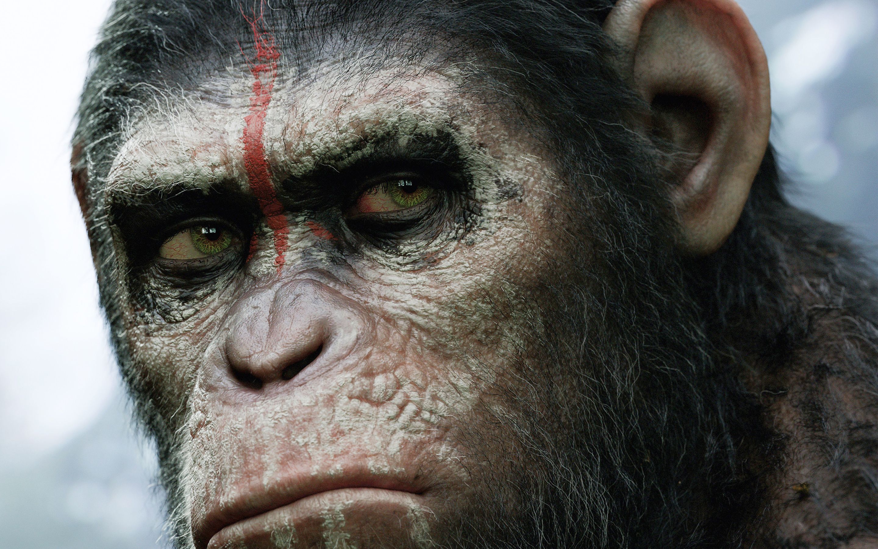 Planet of the Apes Wallpaper