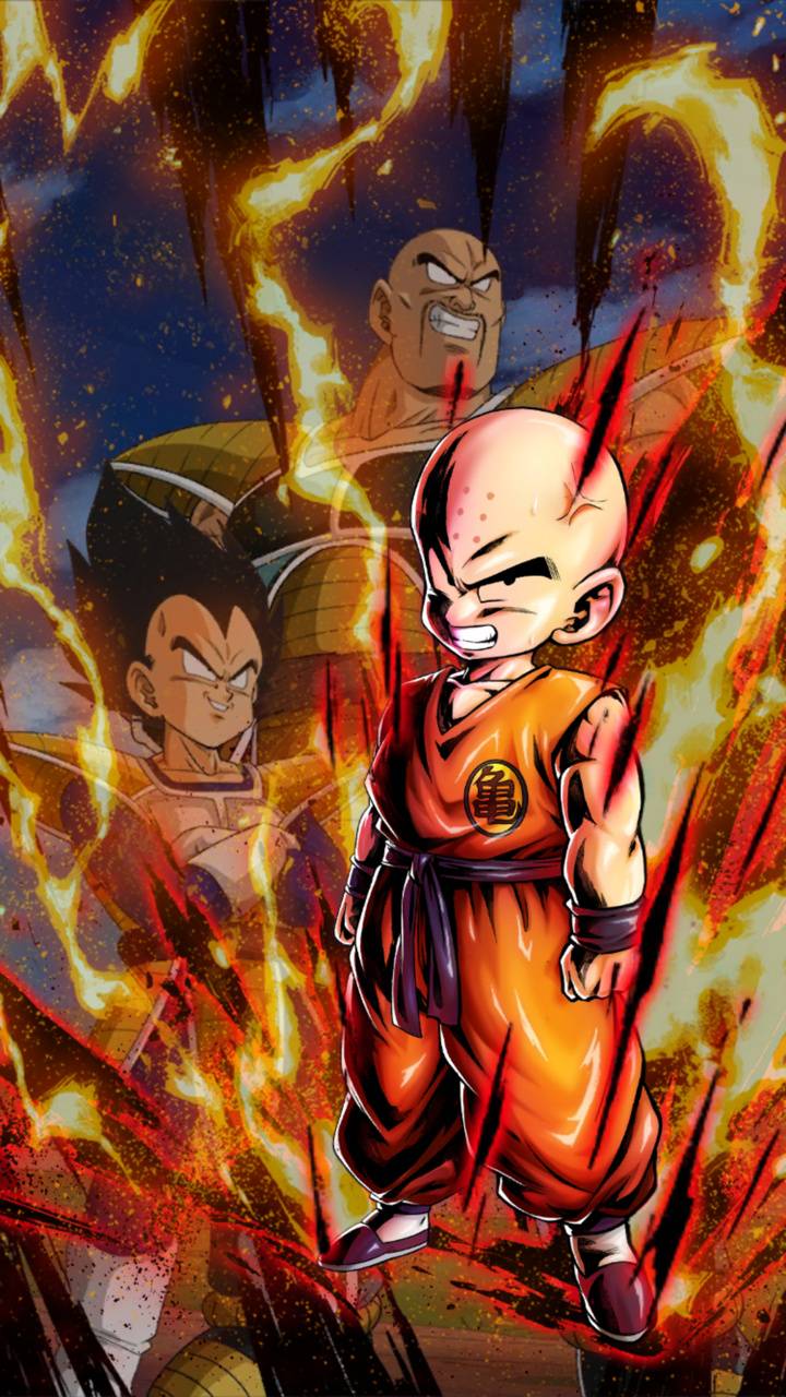 Download Krillin (Dragon Ball) wallpapers for mobile phone, free