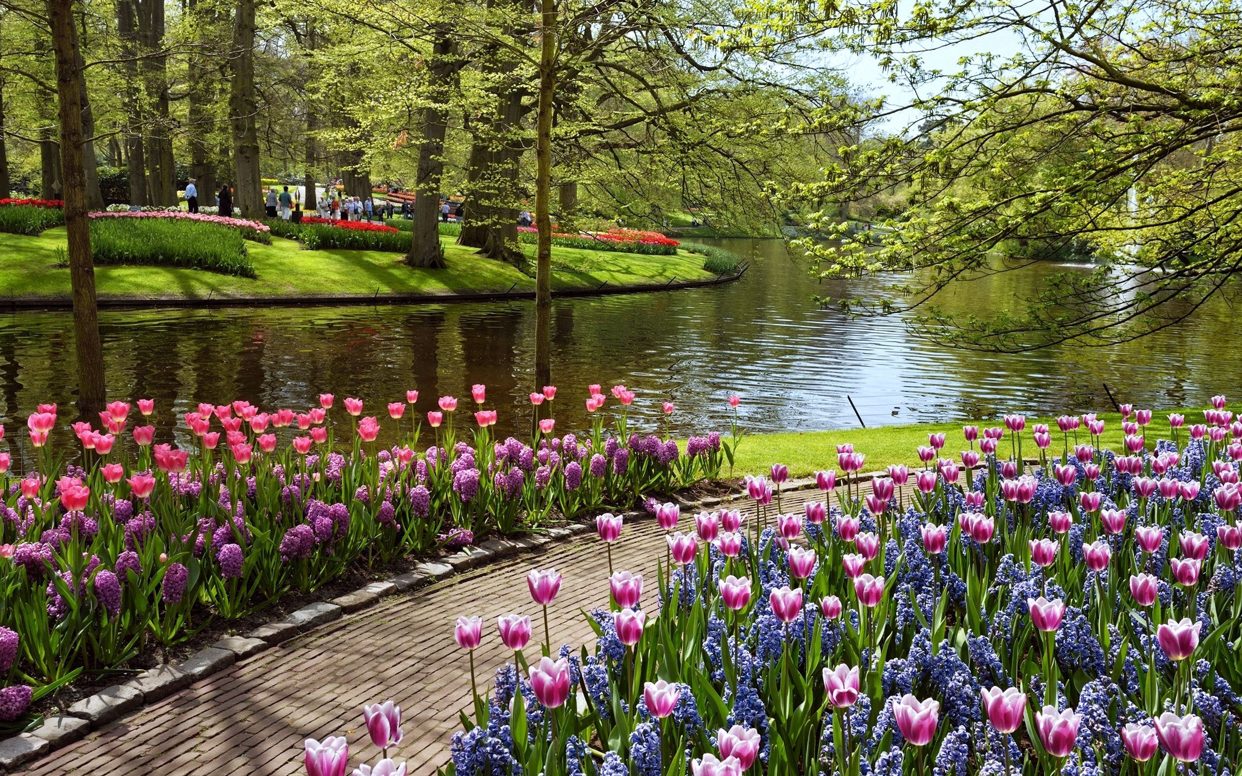 This Flower Filled Park In Keukenhof, Netherlands Is The Perfect Way To Spring Into A New Seaso. Beautiful Summer Wallpaper, Summer Garden, Summer Beach Wallpaper