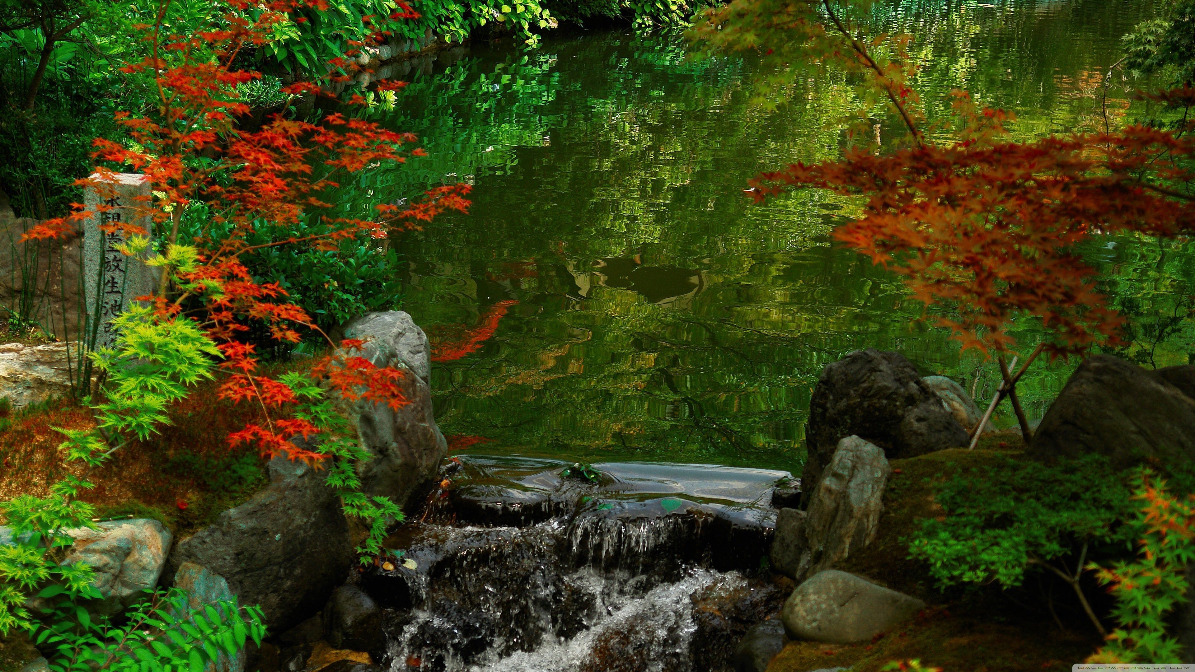 Kyoto Garden Japan 4K wallpaper. Kyoto garden, Japanese water gardens, Water garden