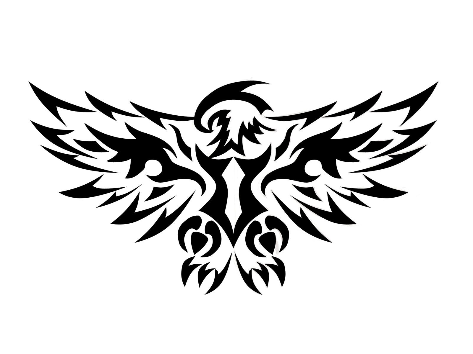 Eagle wings image wallpaper