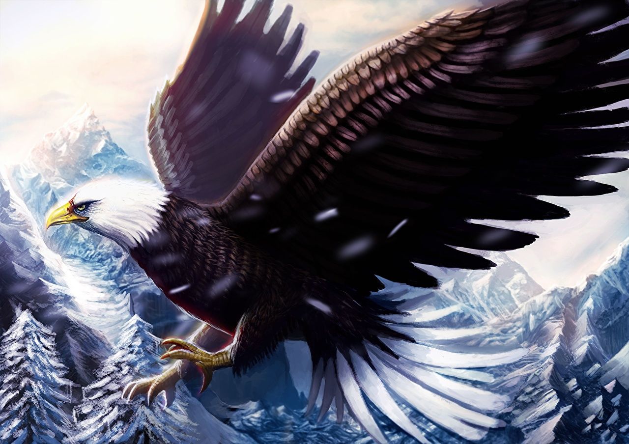 image bird eagle Wings Animals Painting Art