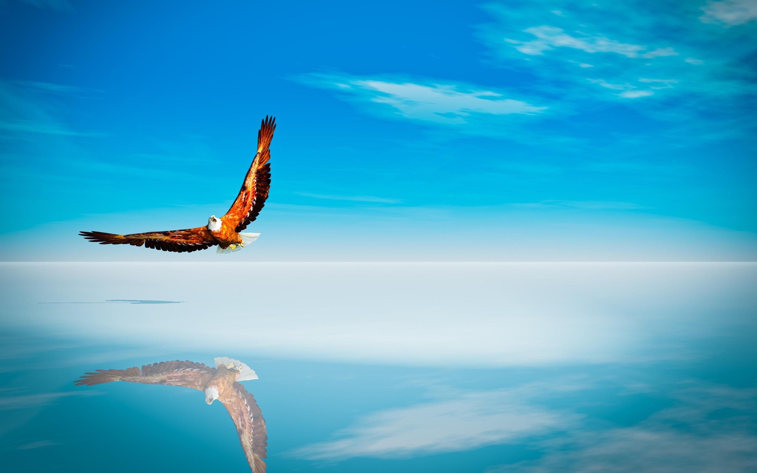 Golden Eagles Wings Wallpaper HD In Sky Background