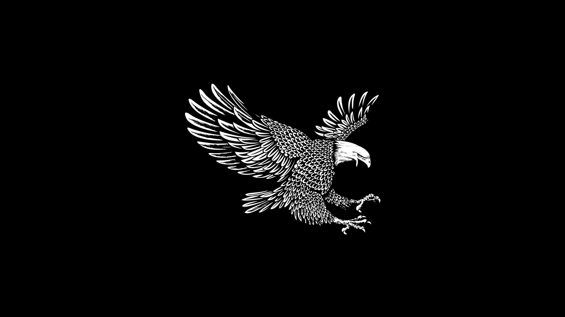 Wallpaper Eagle, wings, flight, black background, art picture 1920x1080 Full HD 2K Picture, Image