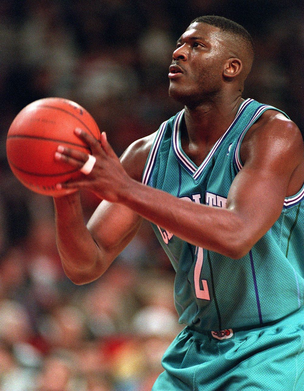 NBA Rookies Of The Year: 1990 Present. Larry Johnson, Nba, Charlotte Hornets