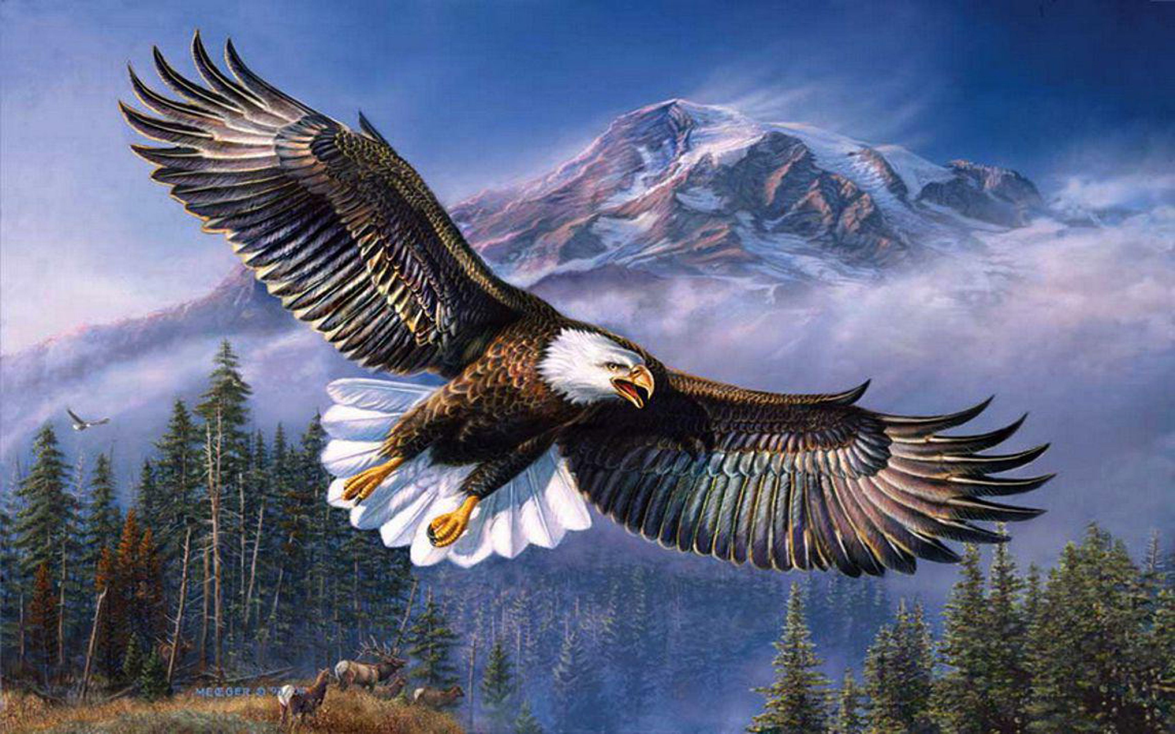 Eagle Spread Wings