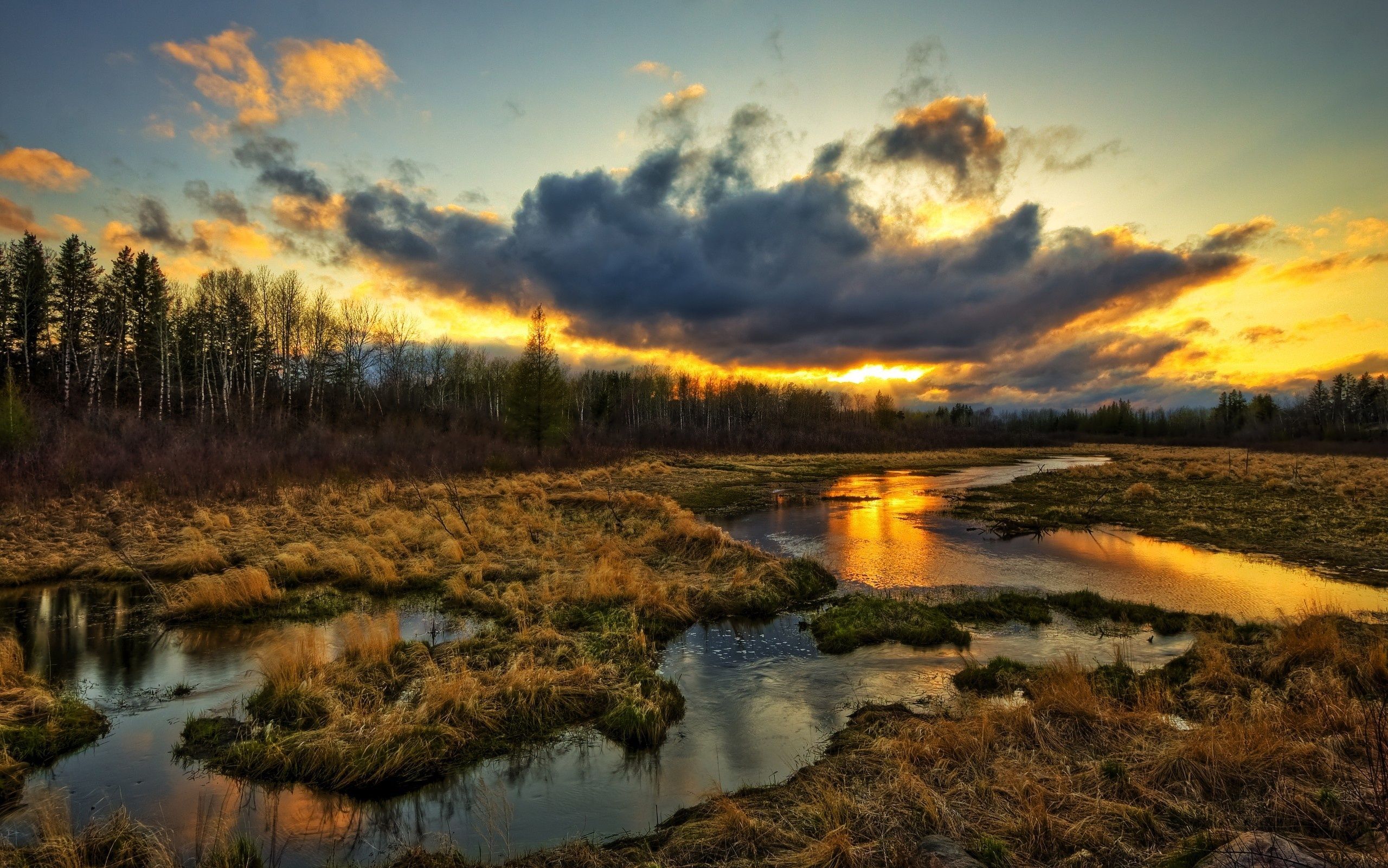 Wallpaper Wetlands, trees, clouds, sunset, grass, water stream, beautiful scenery 2560x1600 HD Picture, Image