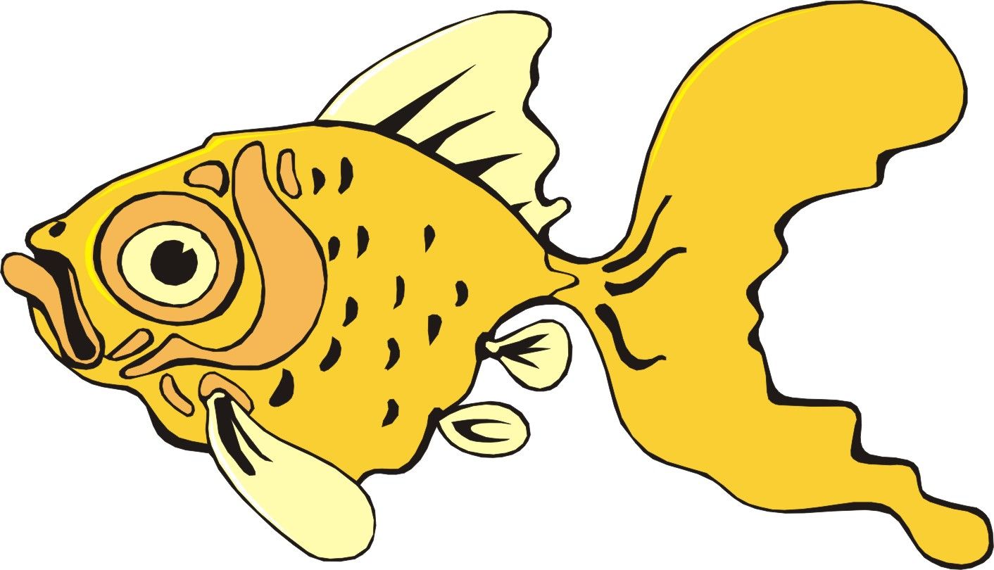 Free Funny Cartoon Fish Picture, Download Free Funny Cartoon Fish Picture png image, Free ClipArts on Clipart Library