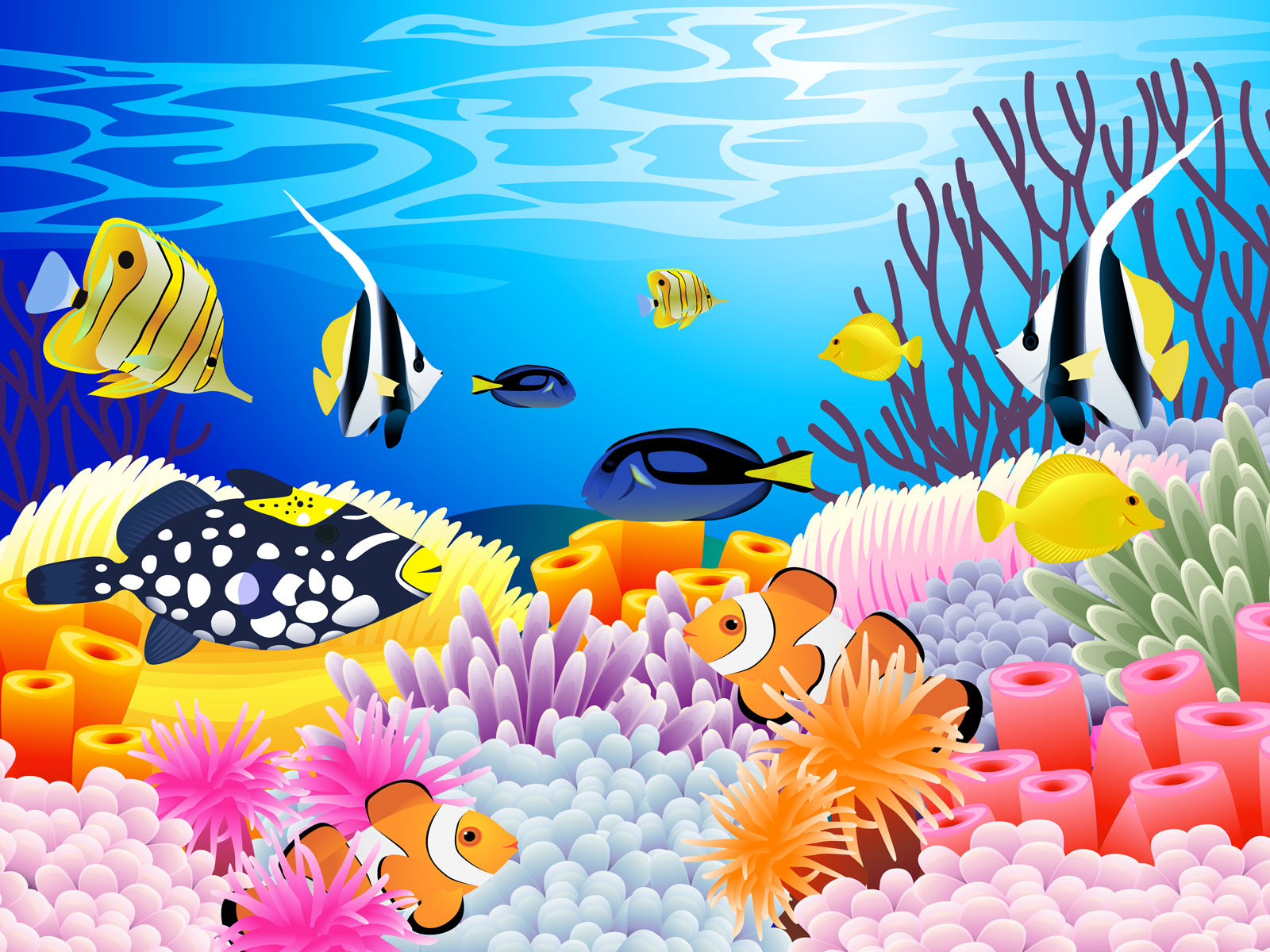 Sea Life (1600×1200). Fish art, Underwater wallpaper, Surfboard painting