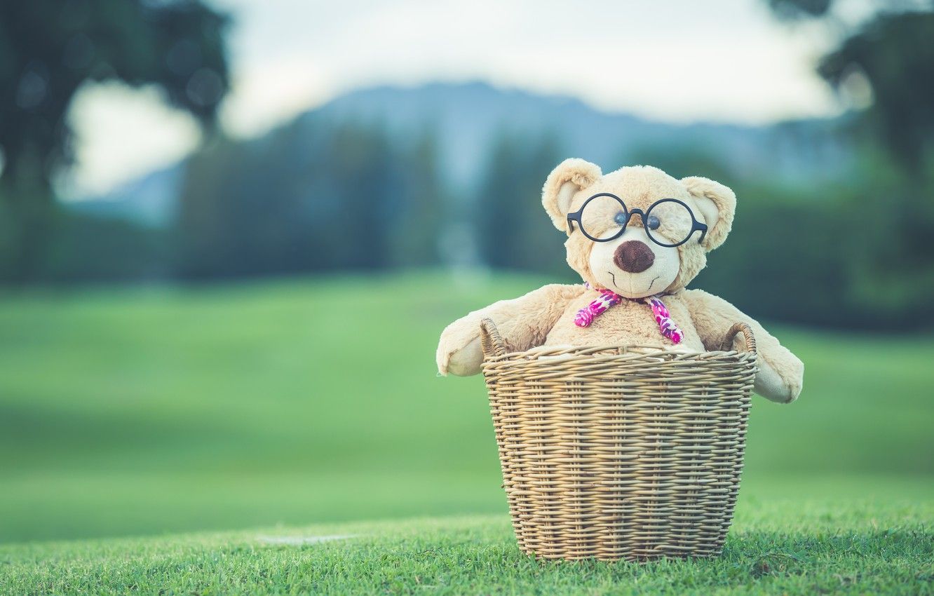 Wallpaper summer, basket, toy, bear, bear, summer, vintage, bear, retro, teddy, lonely, cute, lonely image for desktop, section настроения