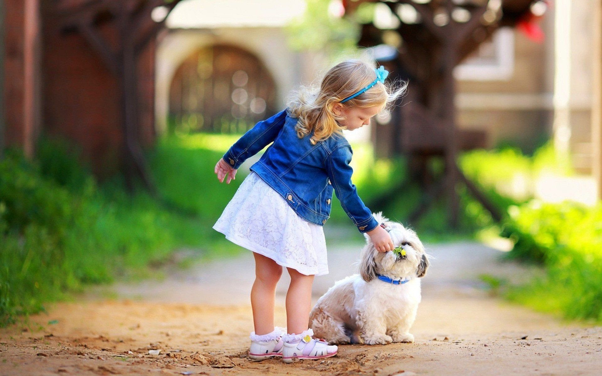 Portrait of a young blonde hugging a cute puppy Stock Photo by ...