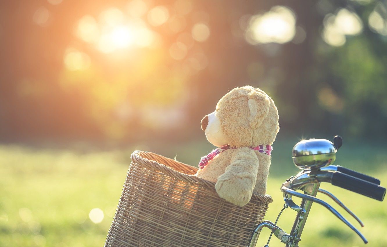 Wallpaper summer, sunset, bike, basket, toy, bear, bear, summer, vintage, bear, bike, retro, teddy, lonely, cute, lonely image for desktop, section настроения