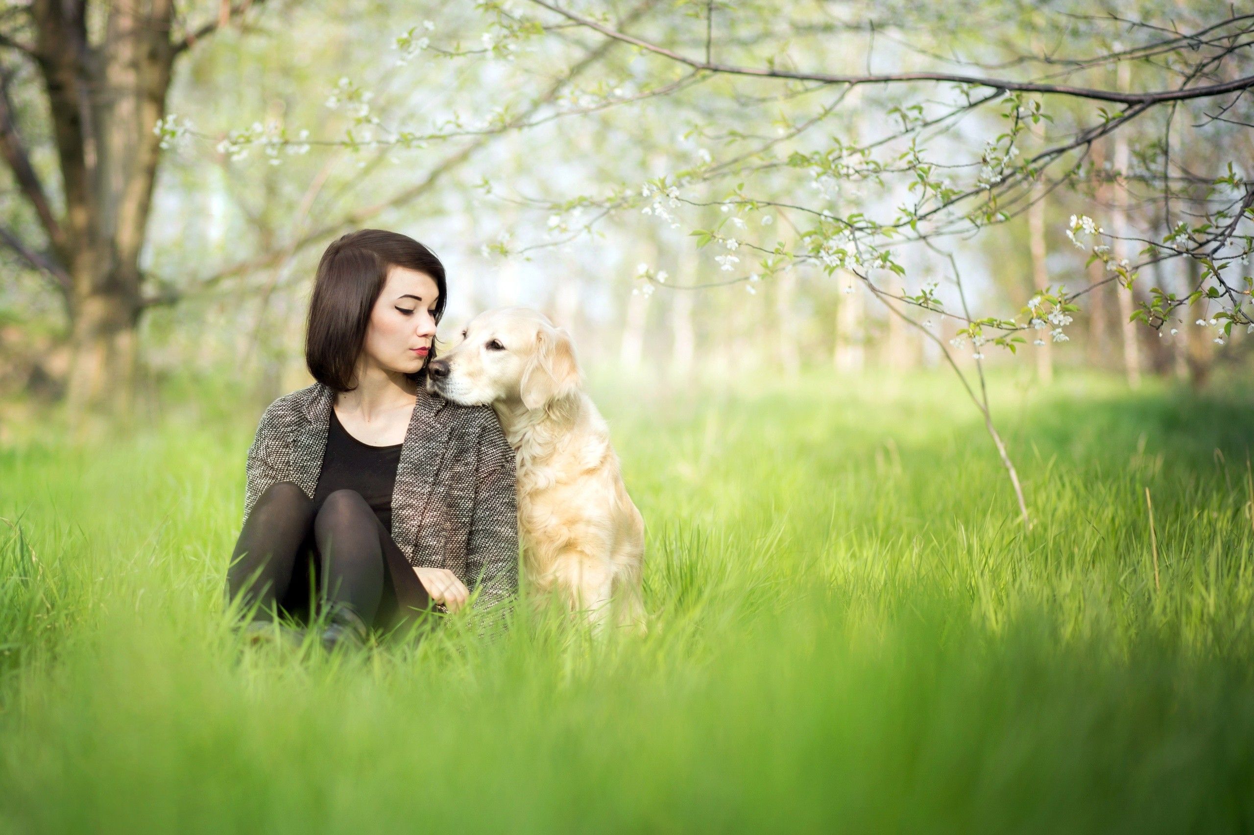 Wallpaper, sunlight, animals, women outdoors, nature, grass, green, dog, romance, flower, photograph, meadow, lawn, woodland, portrait photography, ceremony 2560x1706