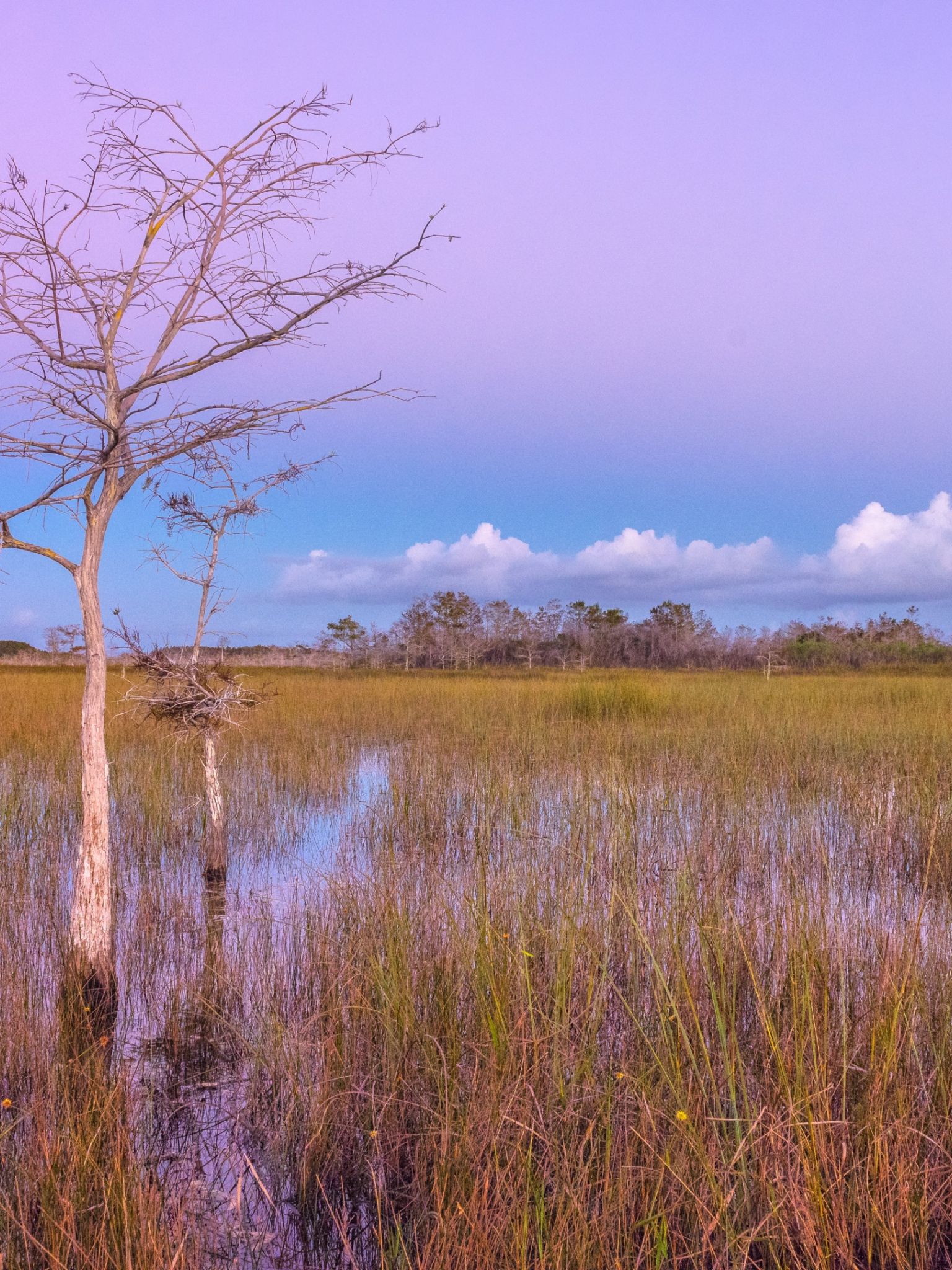 Free download Pink Sunset Wetlands Everglades National Park 4K HD Desktop [3840x2160] for your Desktop, Mobile & Tablet. Explore Everglades National Park Wallpaper. Everglades National Park Wallpaper, National Park