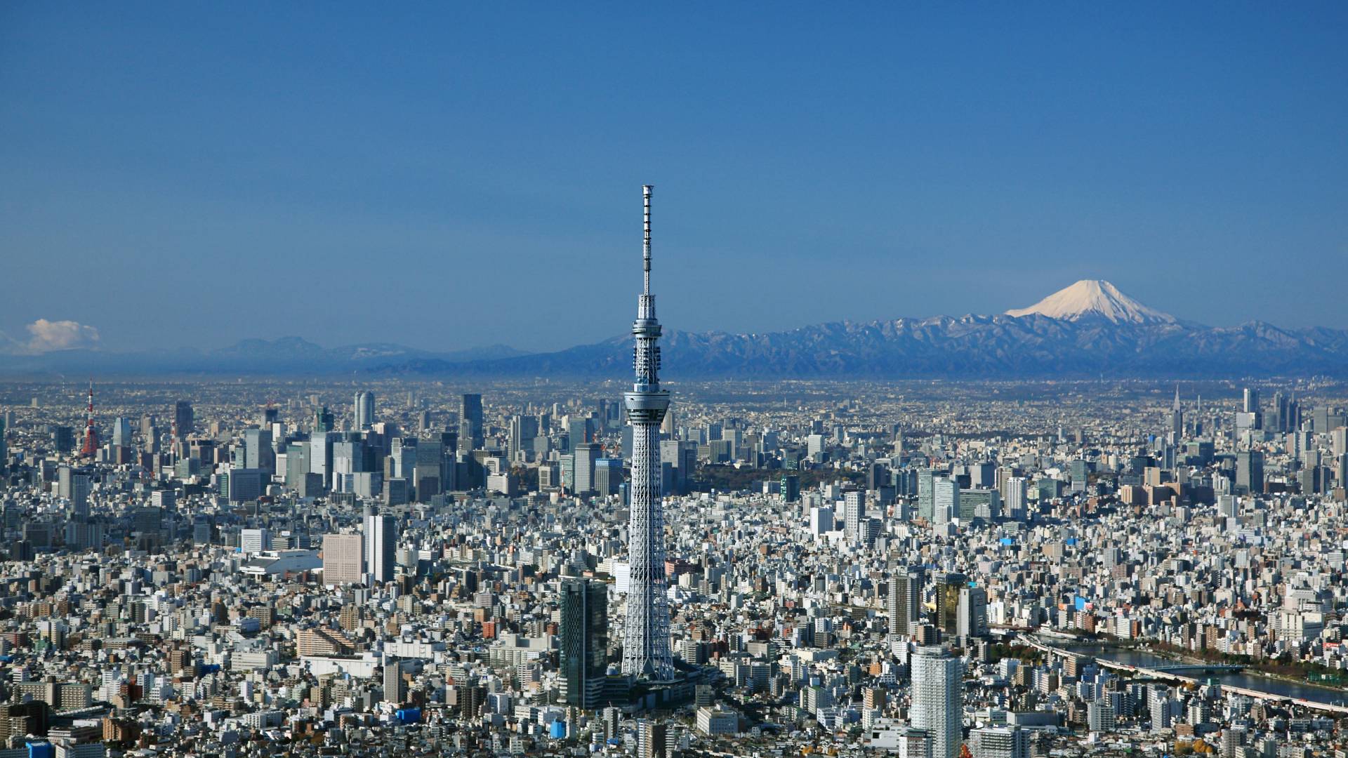 Skytree & Around. The Official Tokyo Travel Guide, GO TOKYO