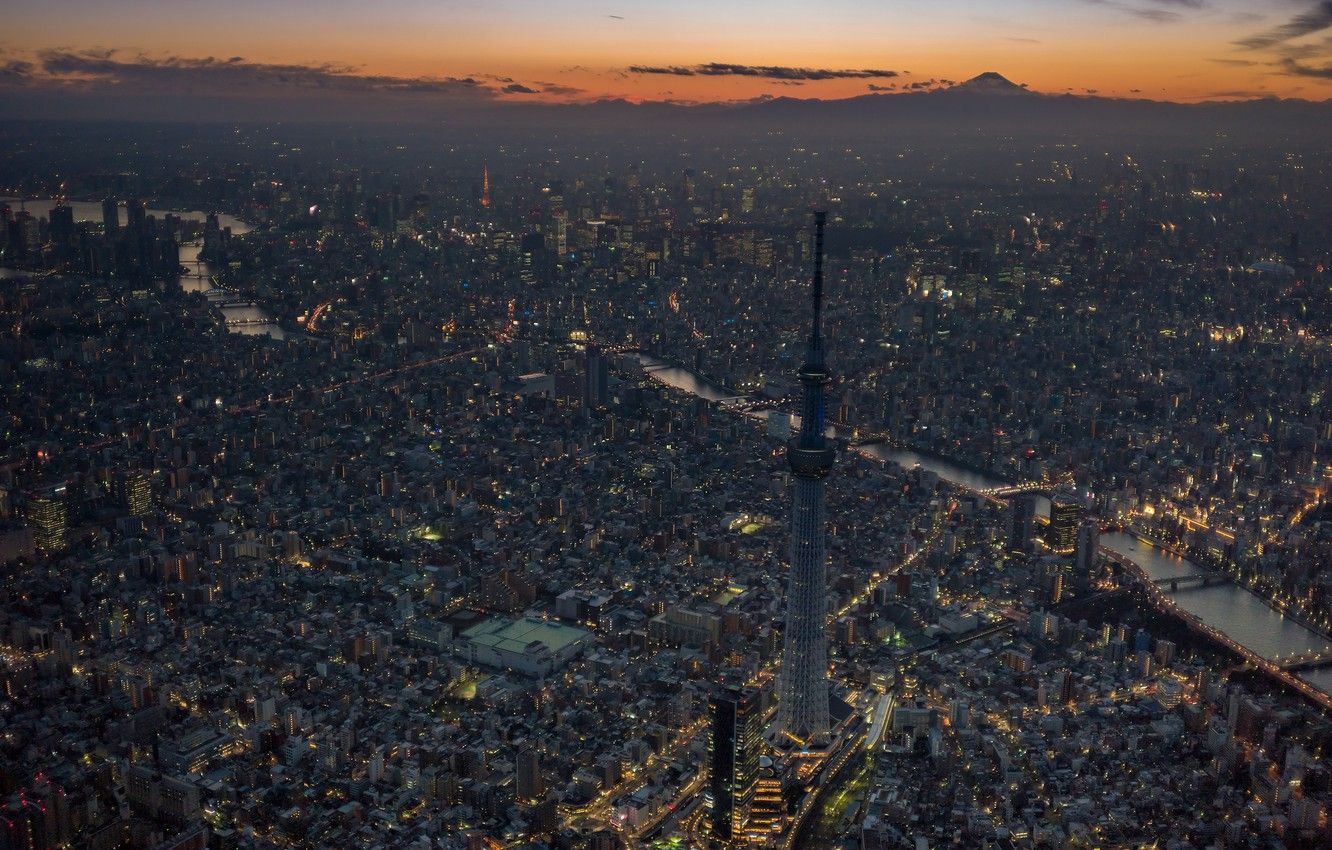 Wallpaper night, the city, Tokyo Skytree, Tokyo Tower and Mount, Sumida River image for desktop, section город