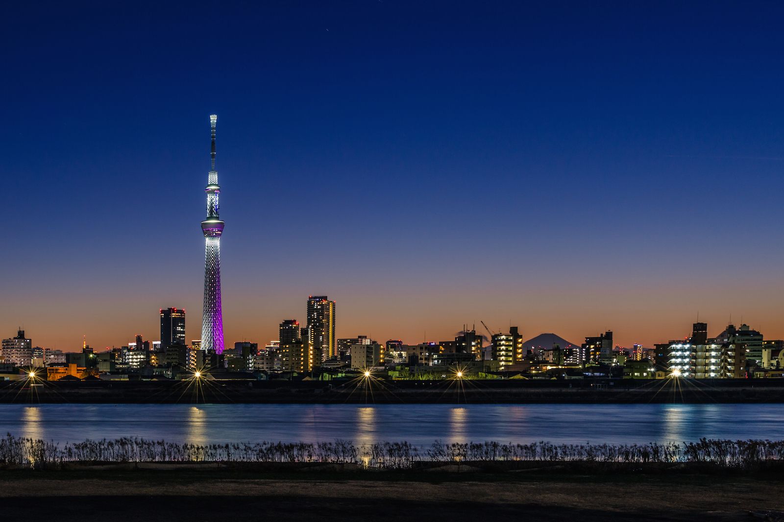 The World's Tallest Tower: Tokyo Skytree