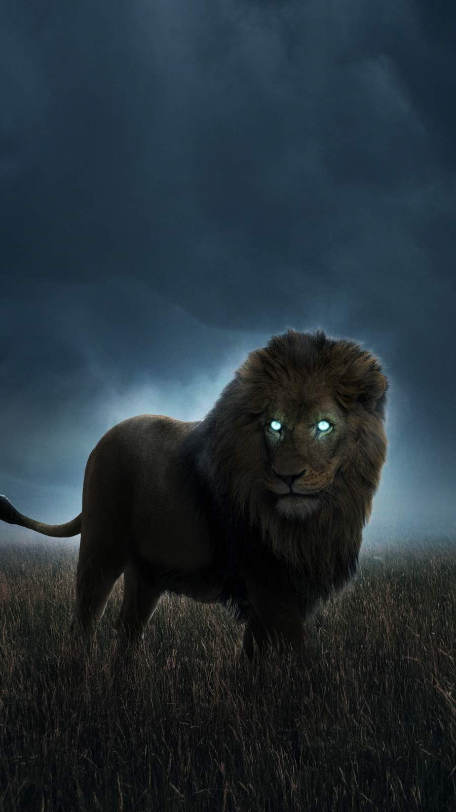 Hunting Lion iPhone Wallpaper. Lion image, Lion HD wallpaper, Lion photography