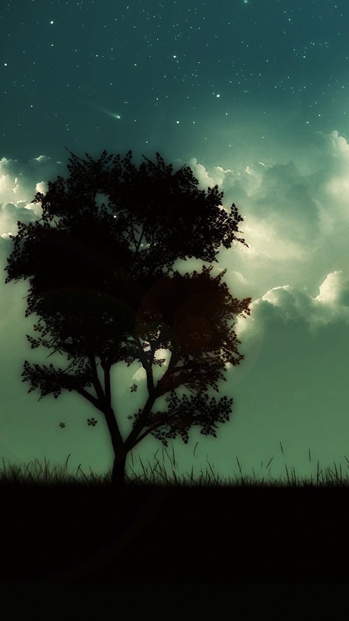 Huawei P8 Lite Wallpaper: The Dark Tree Android Wallpaper