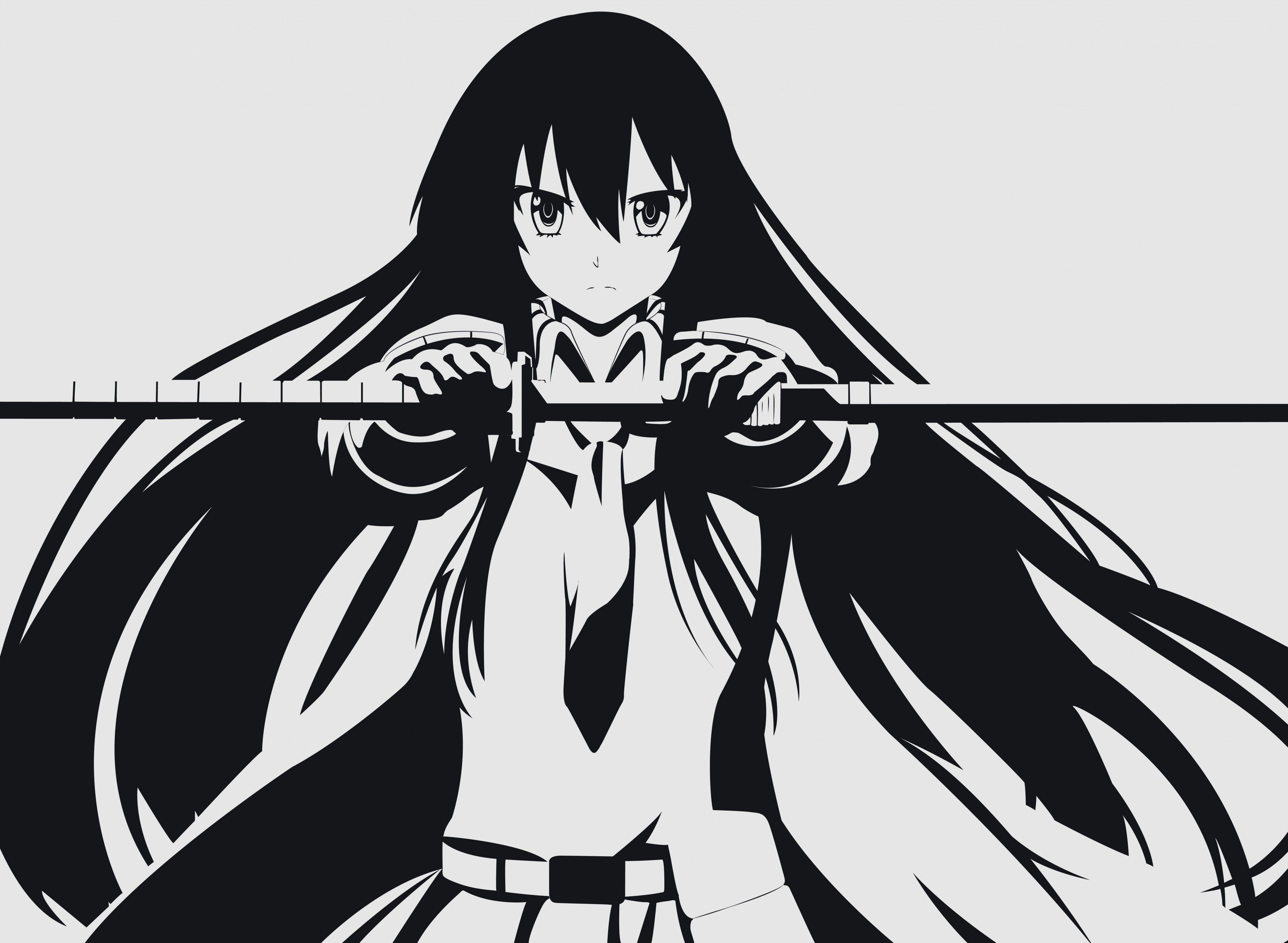 Download 3891x2849 Akame Ga Kill, Akame, Manga, Black And White, Sword Wallpaper