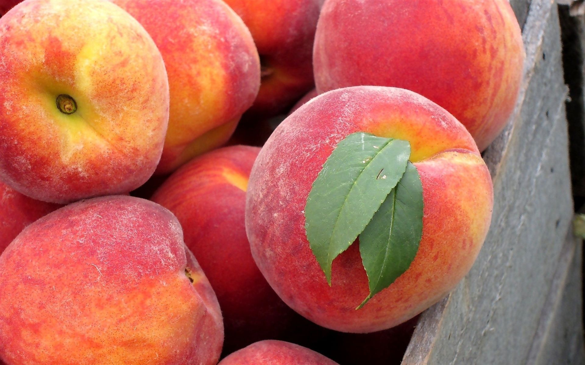 simply put. peaches!. Peach wallpaper, Peach fruit, Peach