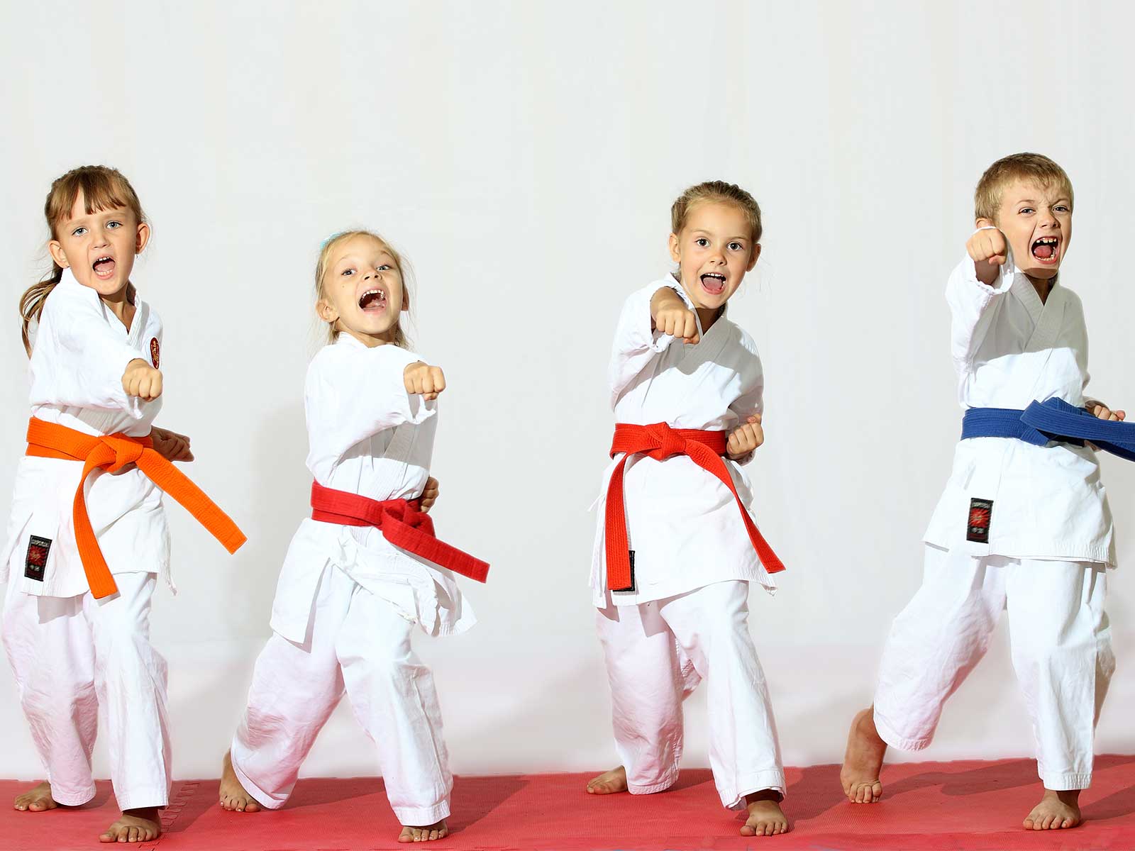 martial arts wallpaper, karate, martial arts uniform, dobok, japanese martial arts, martial arts, choi kwang do, shidokan, child, uniform, taekwondo