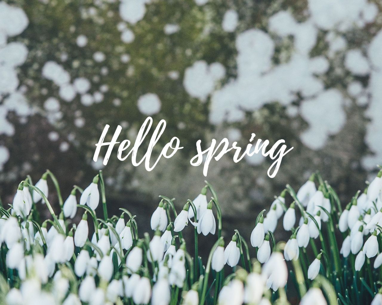 Aesthetic Spring Computer Wallpapers - Wallpaper Cave