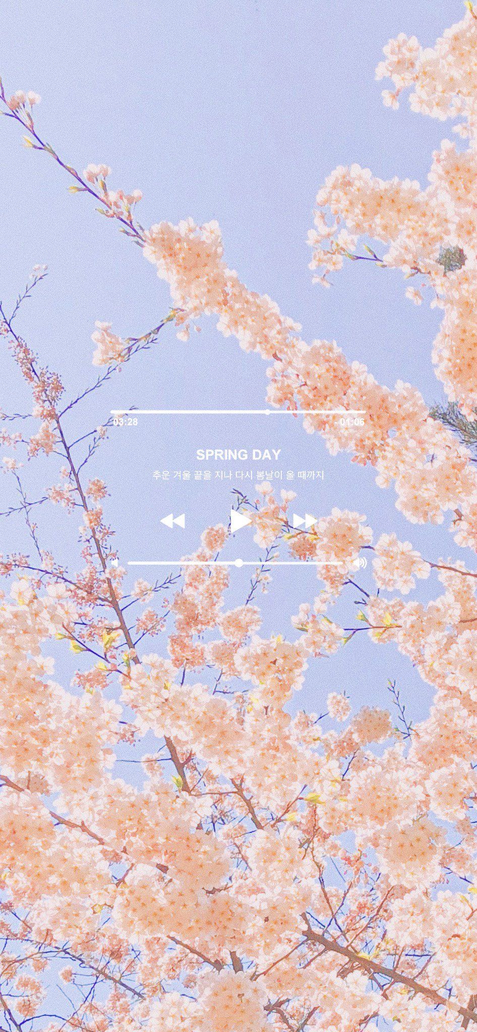 올빗 on Twitter. Bts spring day wallpaper, Bts spring day, Bts spring day lyrics