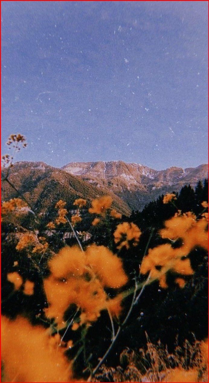 Past the cold winter until the spring day comes. Aesthetic wallpaper, Sky aesthetic, Phone wallpaper