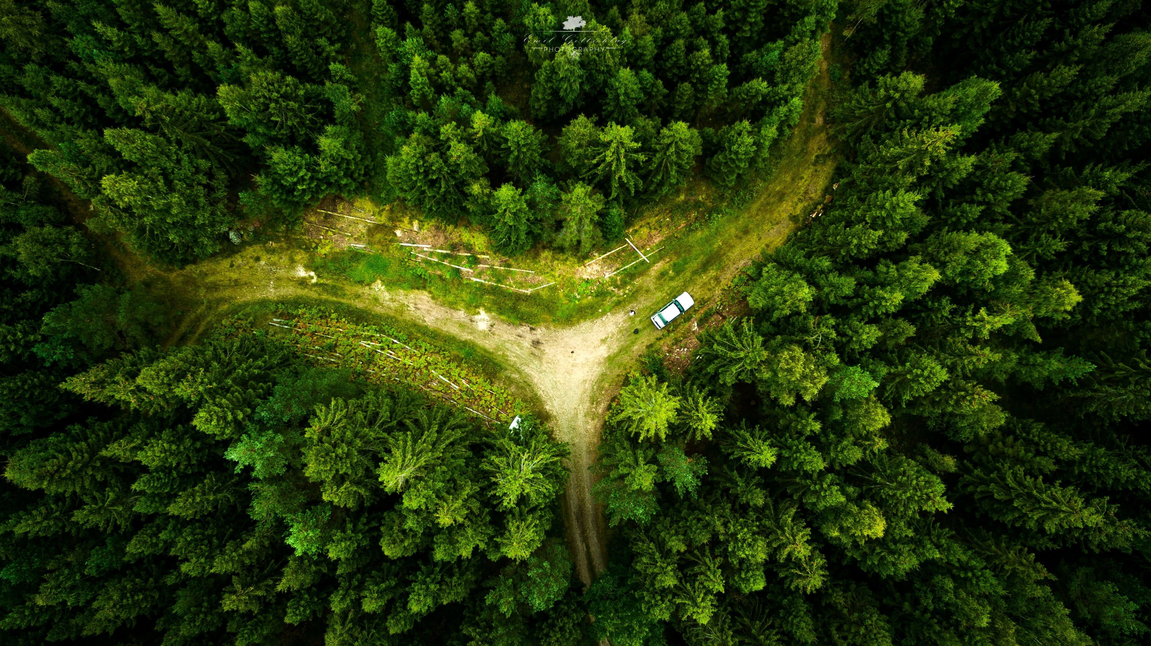 green pine trees #drone #landscape #nature aerial view #forest K # wallpaper #hdwallpaper #desktop. Aerial view, Forest wallpaper, Landscape