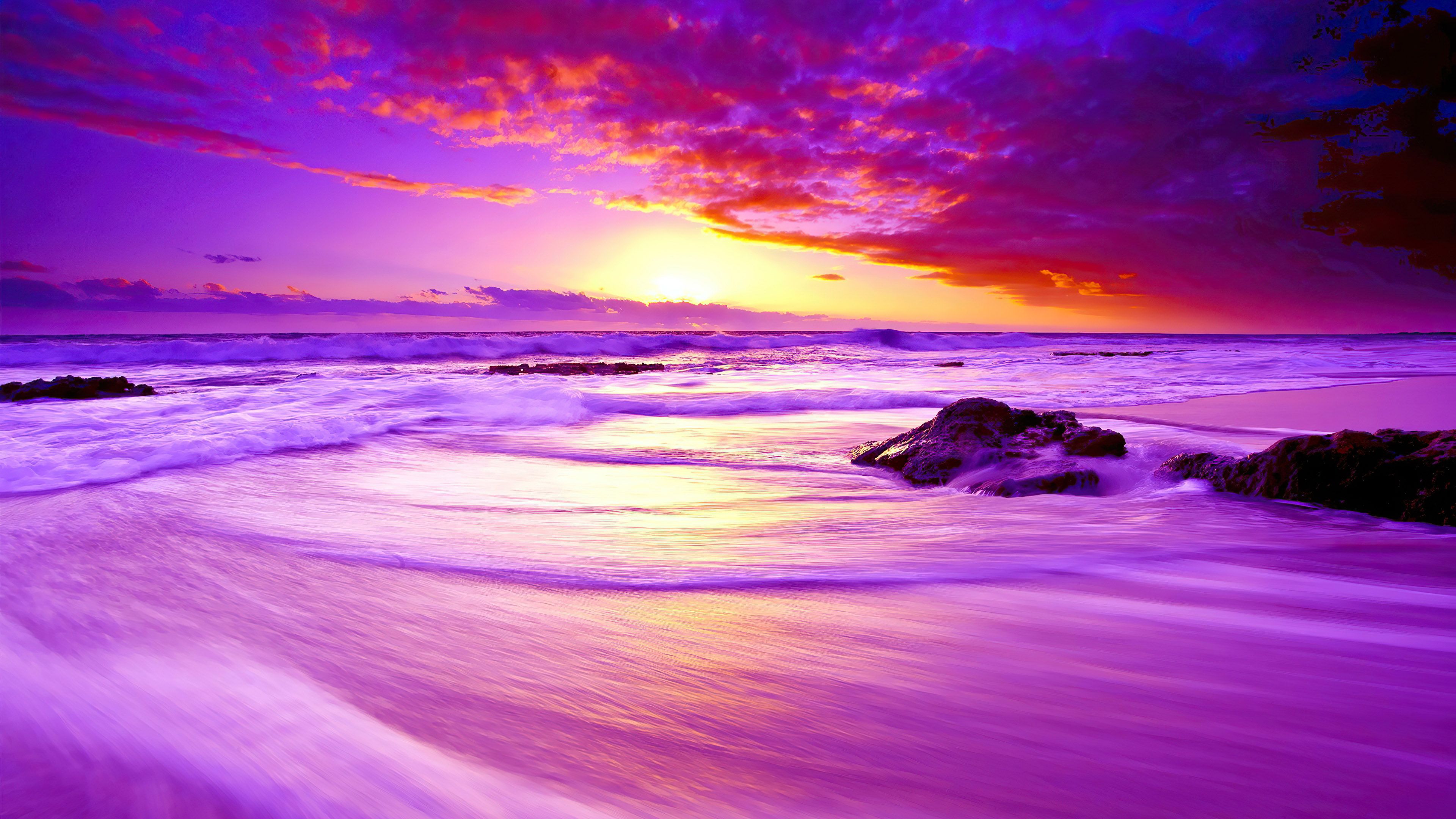 Purple Beach Sunset 4K HD Wallpaper