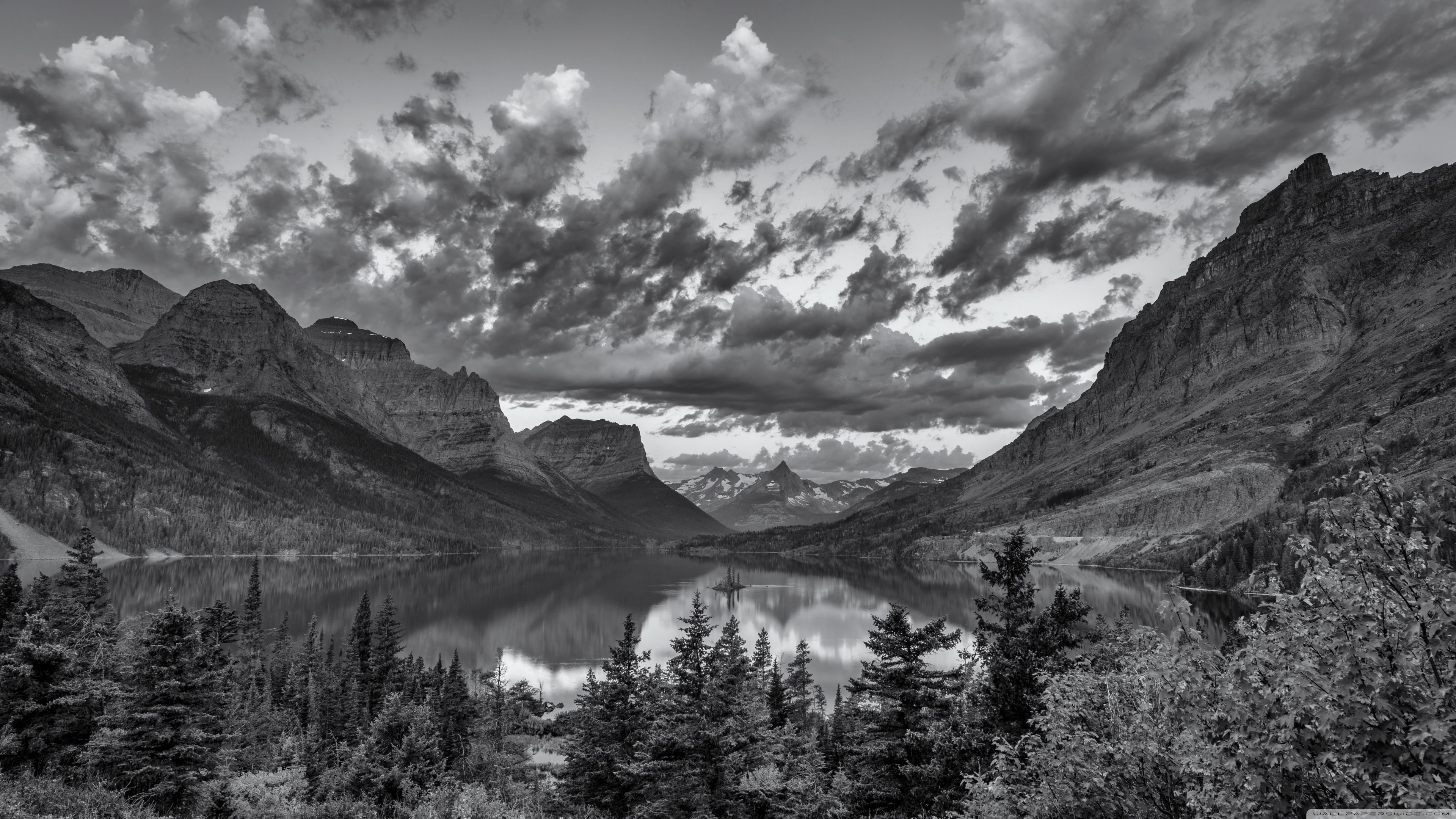 Black And White Desktop 4k Nature Wallpapers Wallpaper Cave Black And White Desktop 4k Nature Wallpapers Wallpaper Cave